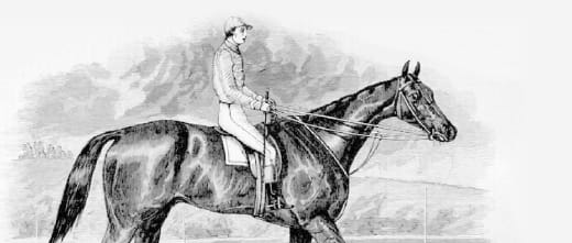 Melbourne Cup winner Wollomai