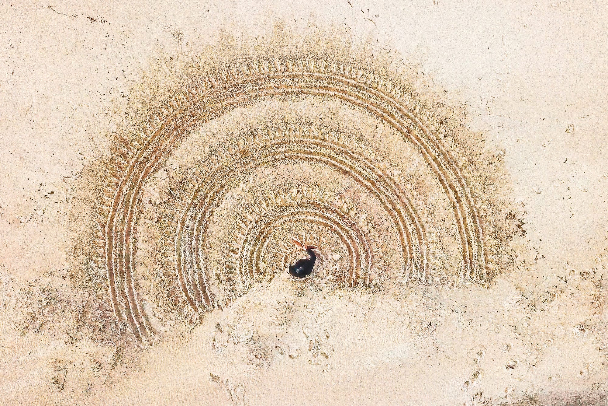 Baluk Arts presents Millowl - opening night November 2