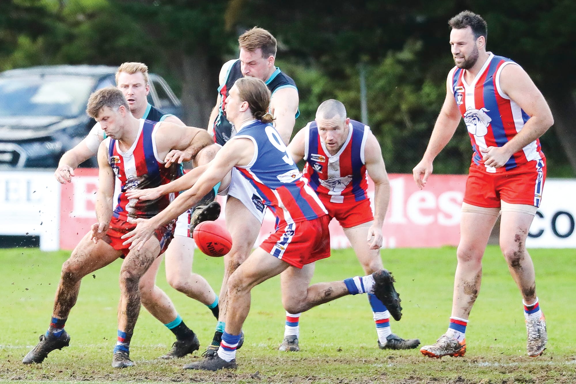 Under U18s - Cobras’ sting no match for Bulldogs’ bite