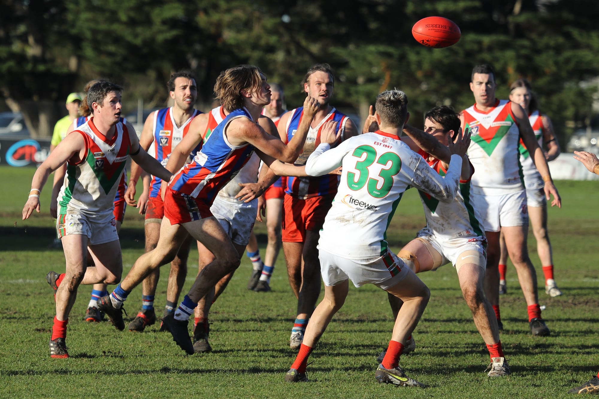 Bulldogs' nets catch Seagulls!