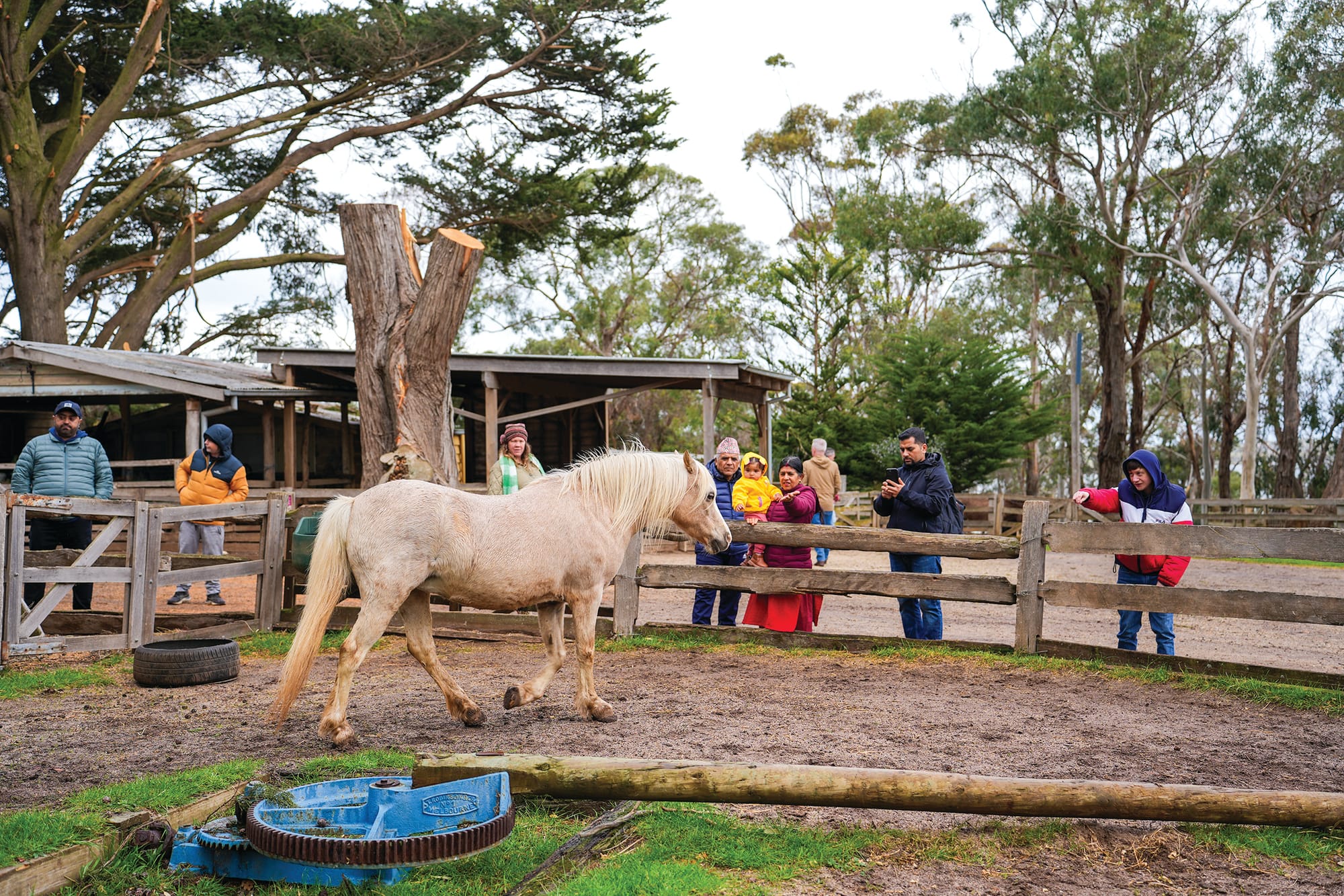 Bass Coast community invited to celebrate Phillip Island