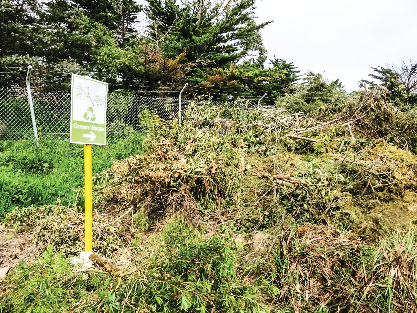 Free green waste disposal