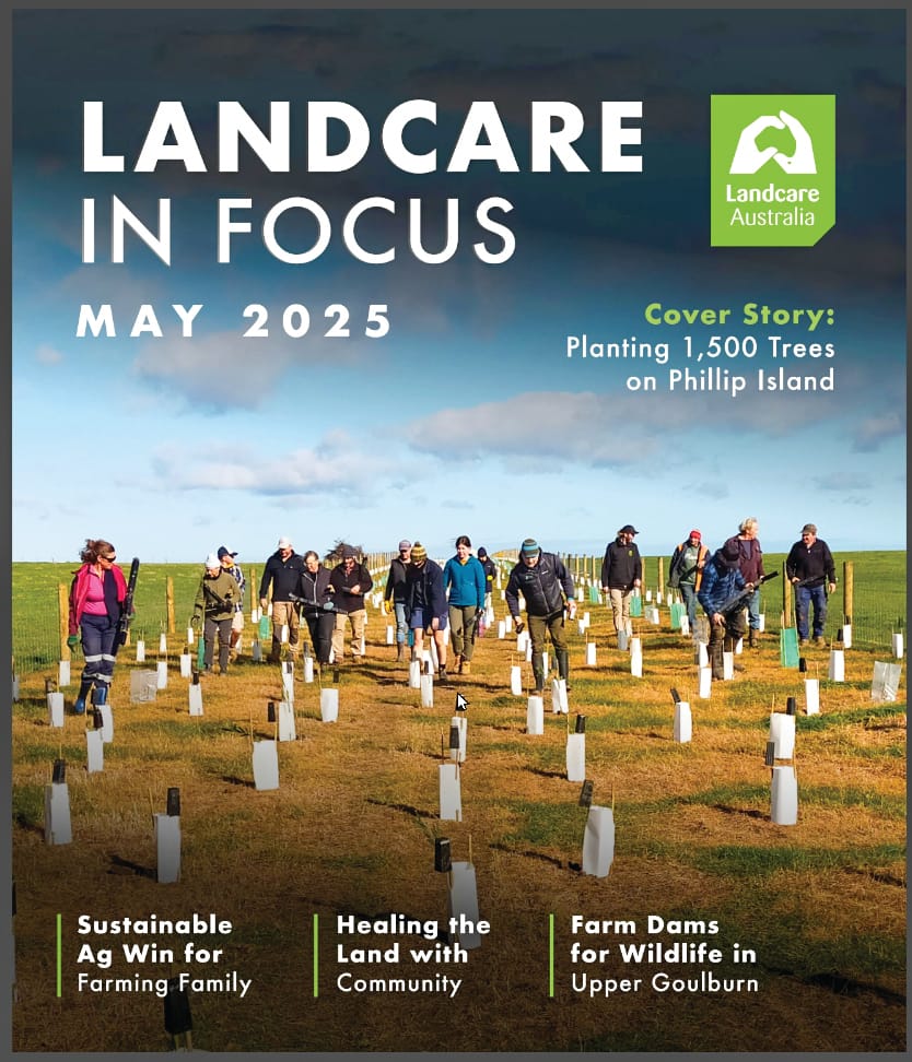 Tree planting makes national headlines