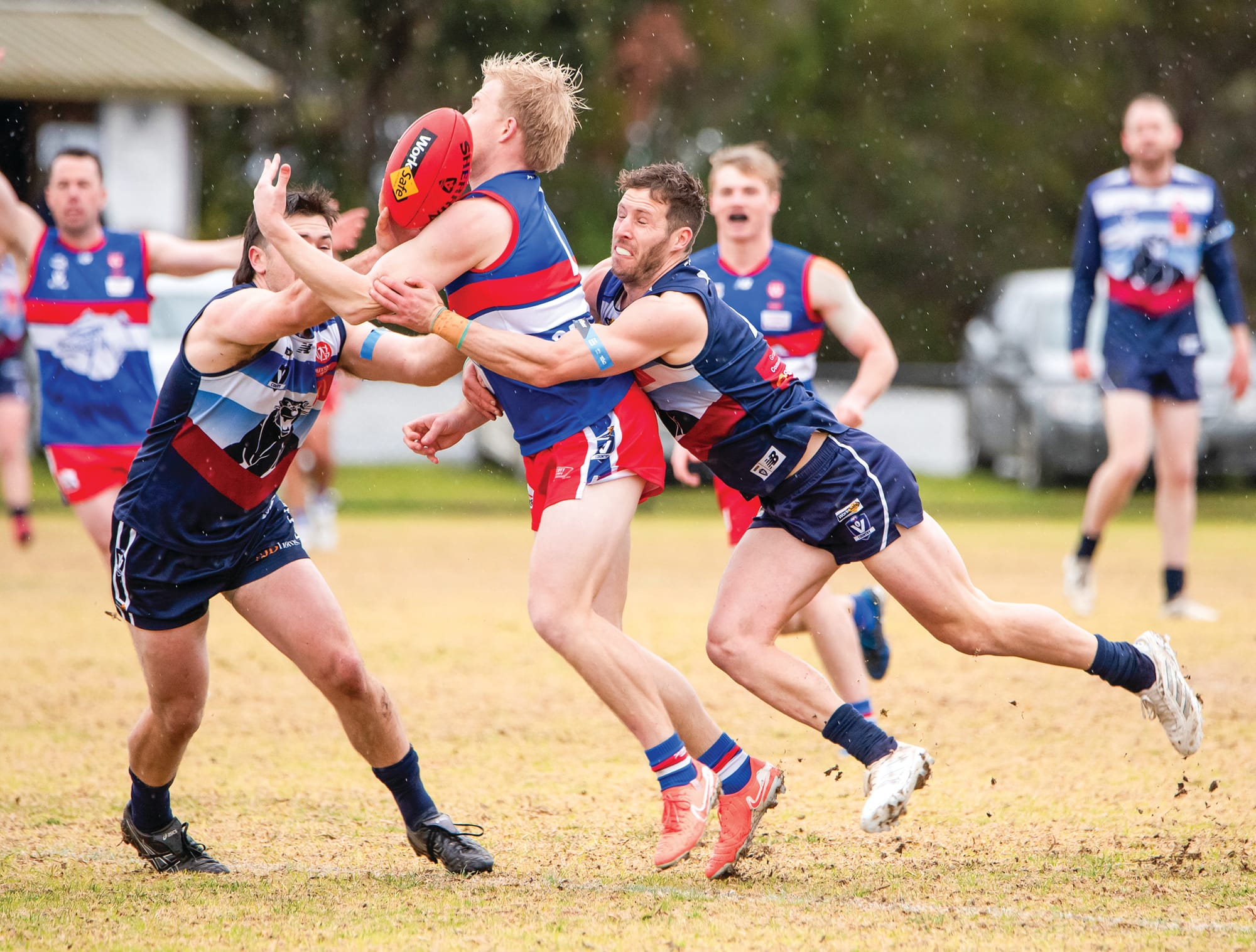 Wet and wild weekend for the Panthers - Seniors