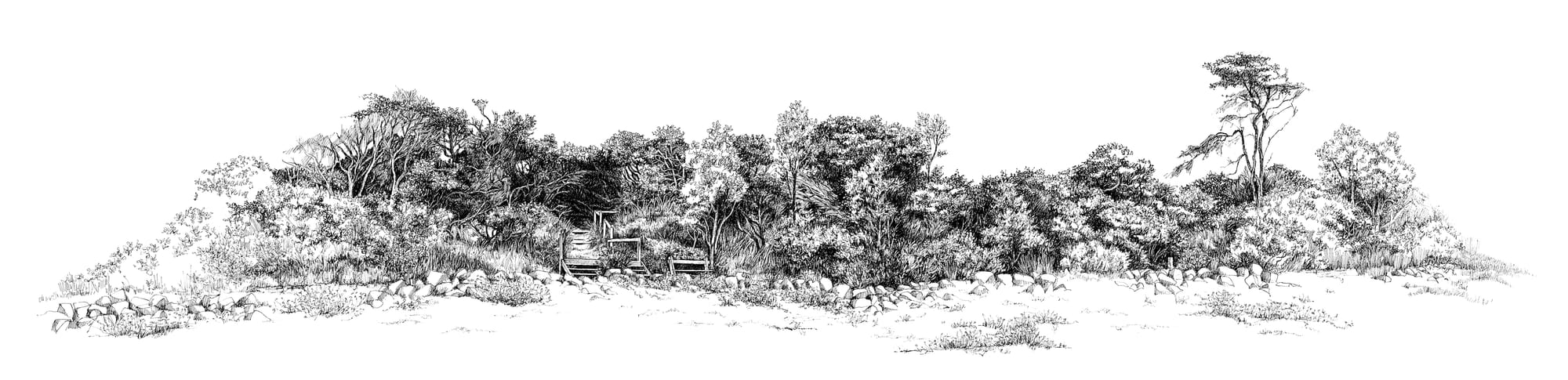 Island's shoreline on display