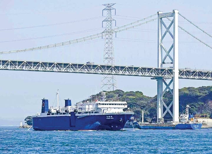 Fight for whales steps up