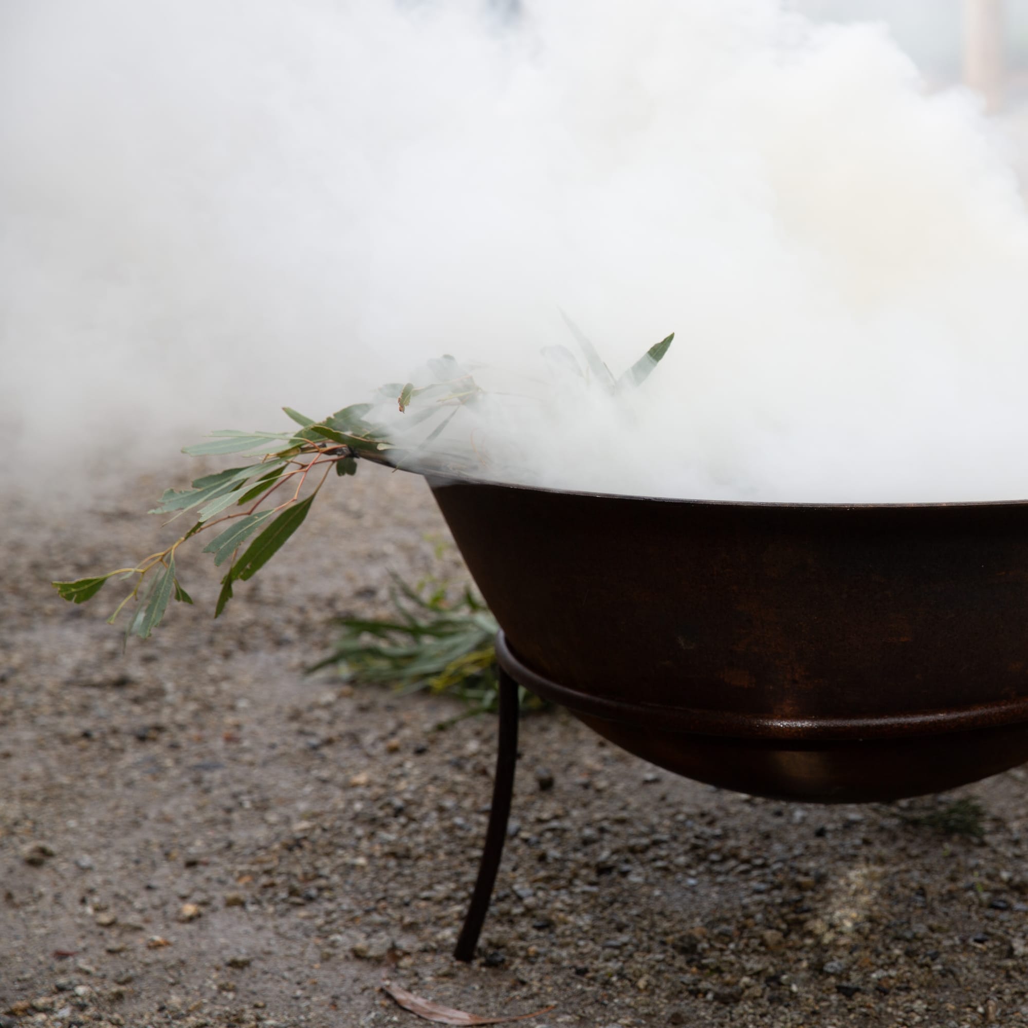 Come together on Sorry Day