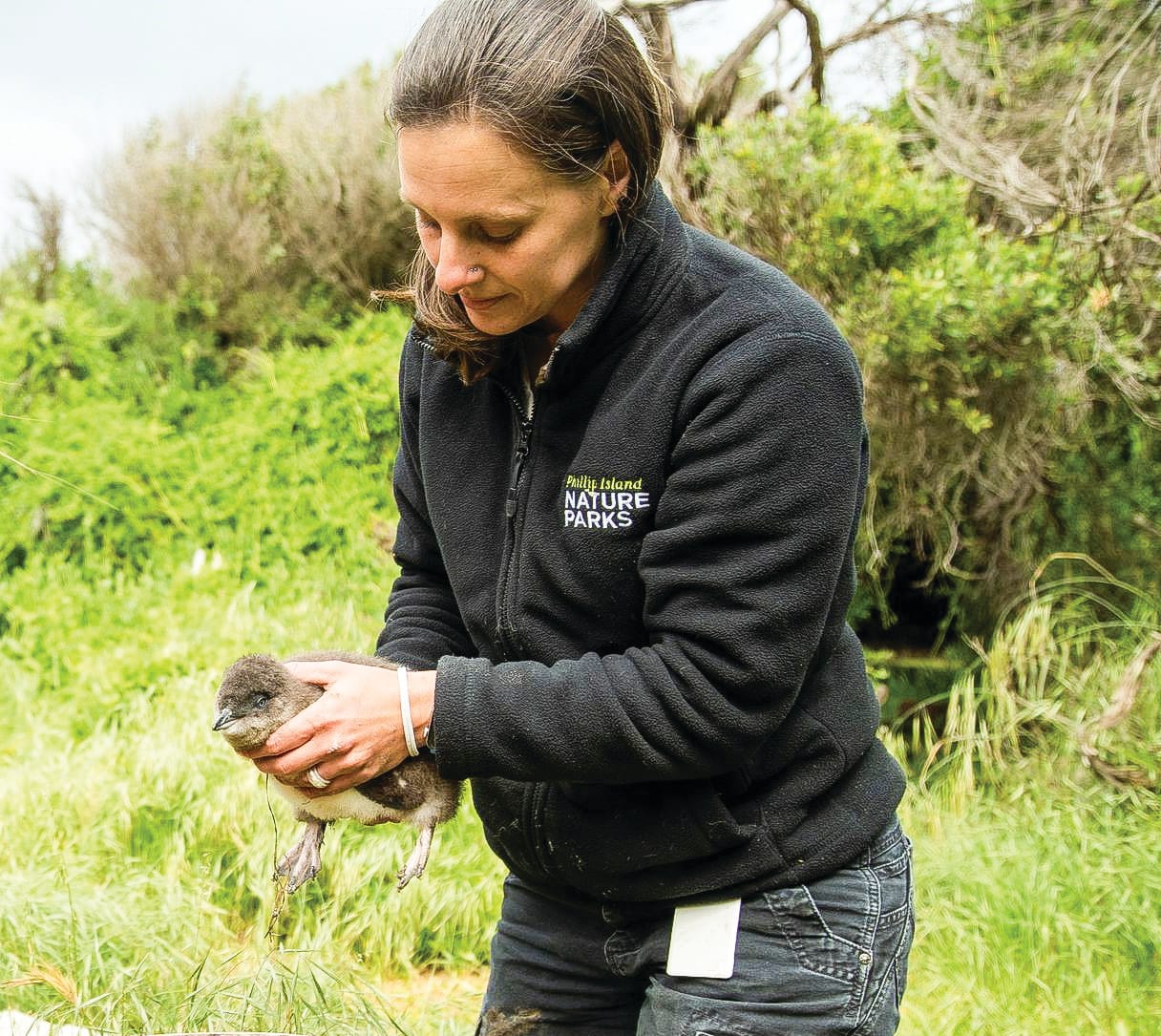 Paula’s aiming for the superstars