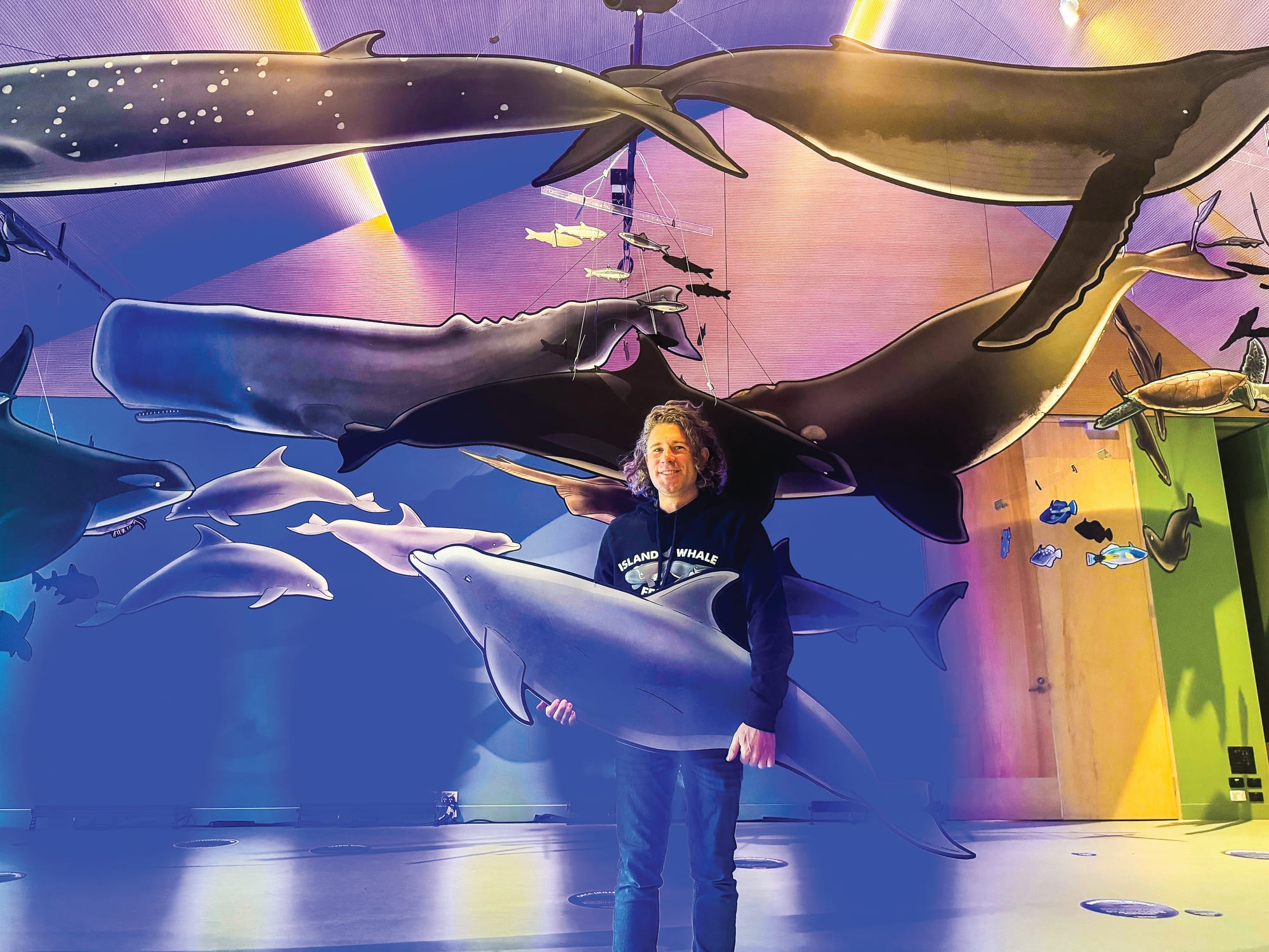 Immerse yourself in the world of whales