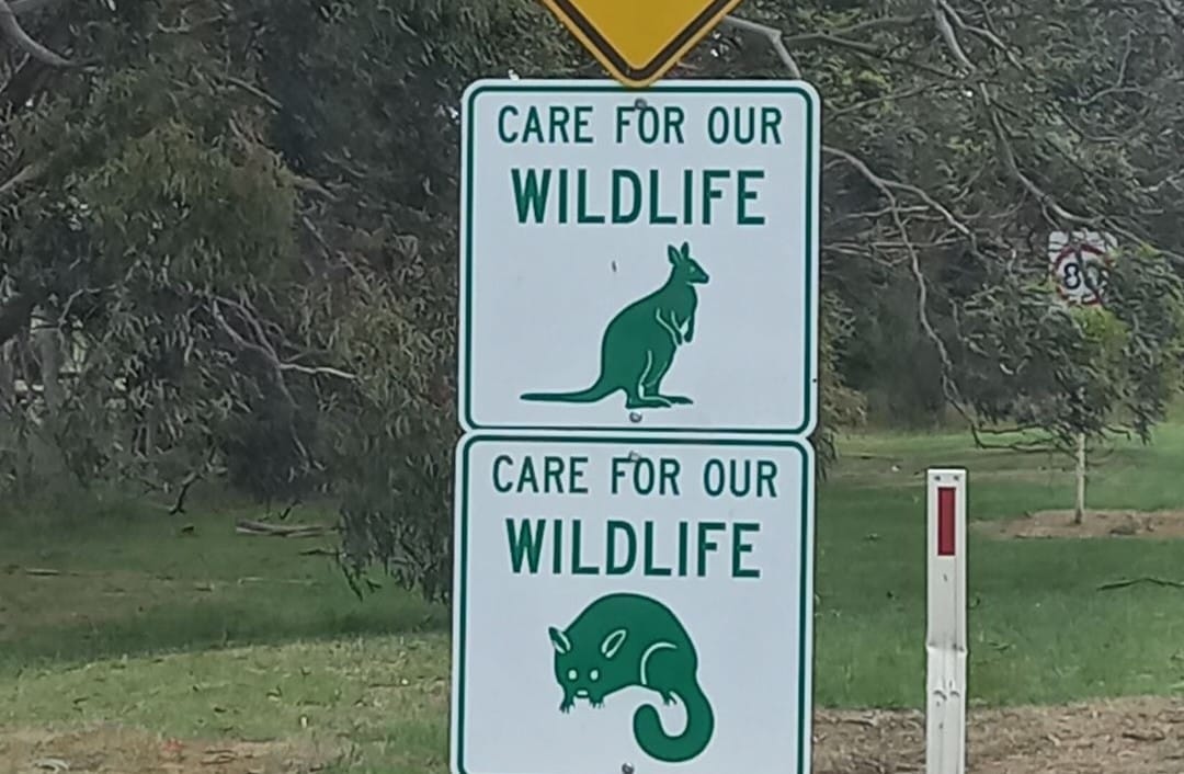 New signs aim to curb roadkill
