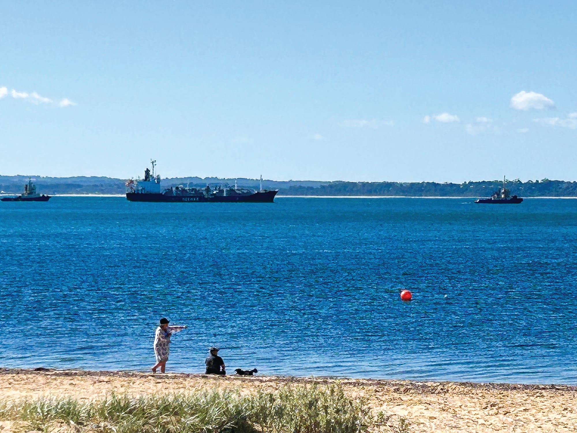 A big visitor (not quite) to our shores