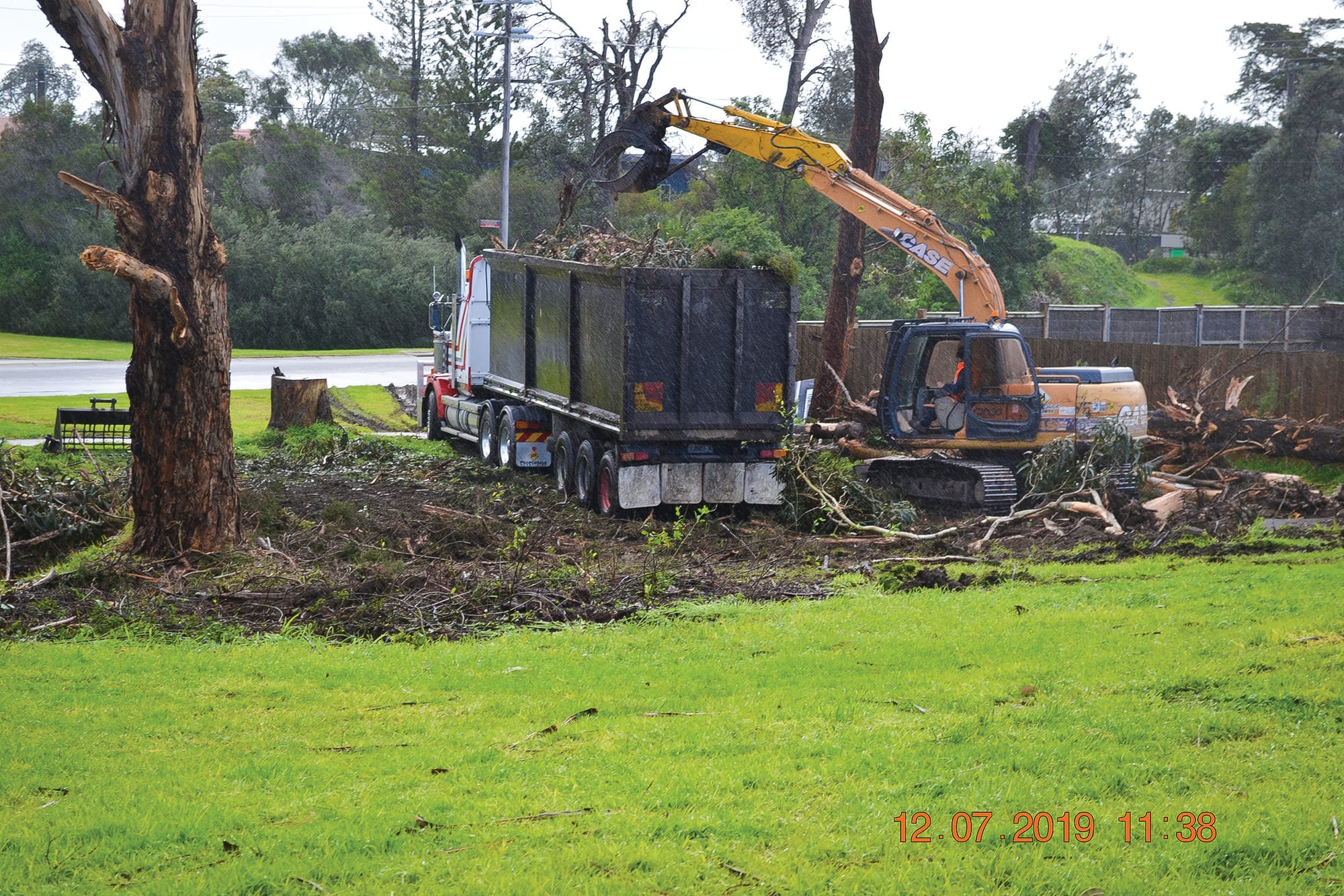 Knock on wood: more trees and more protection