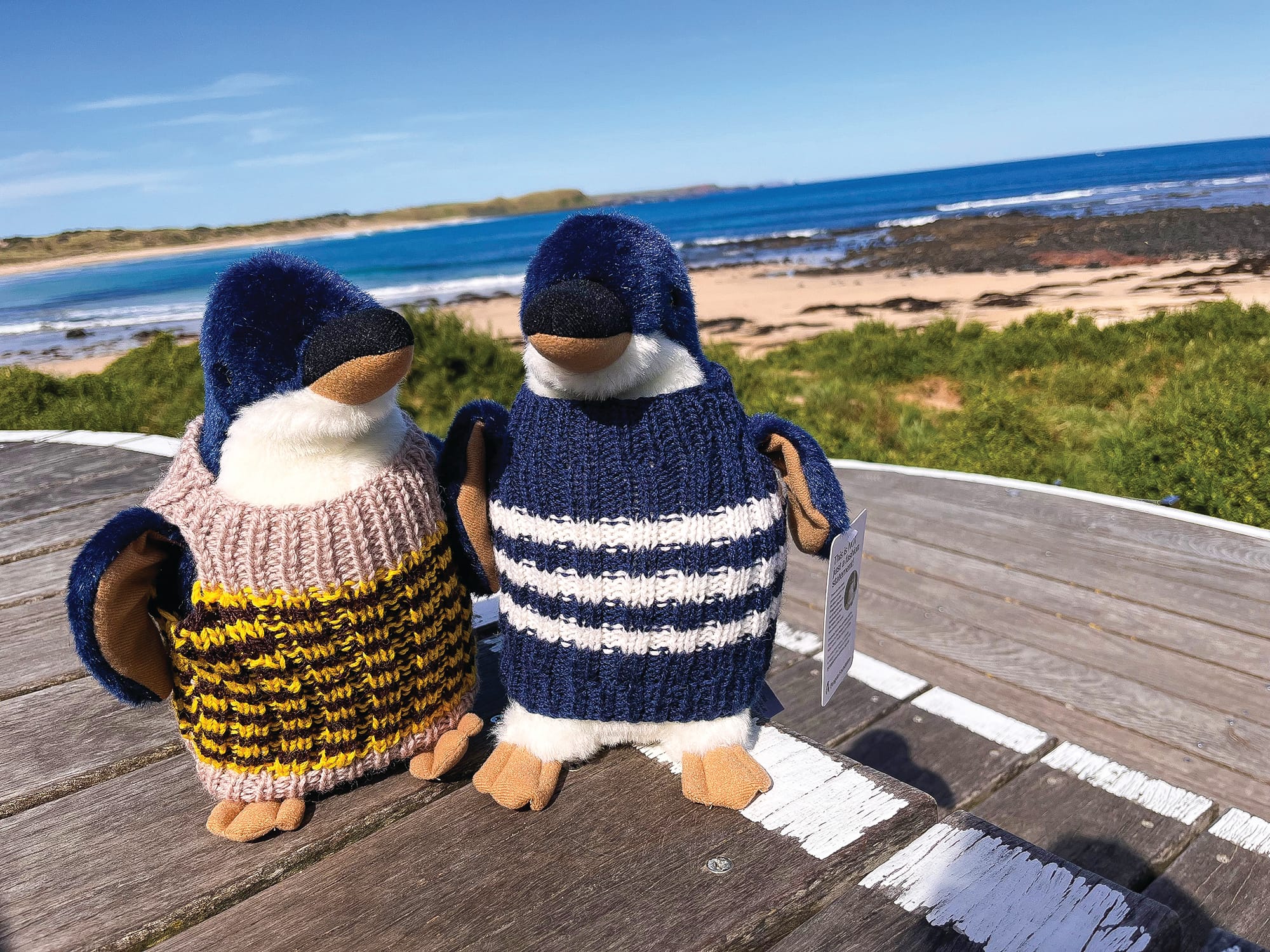 Knitters needed for toy penguins