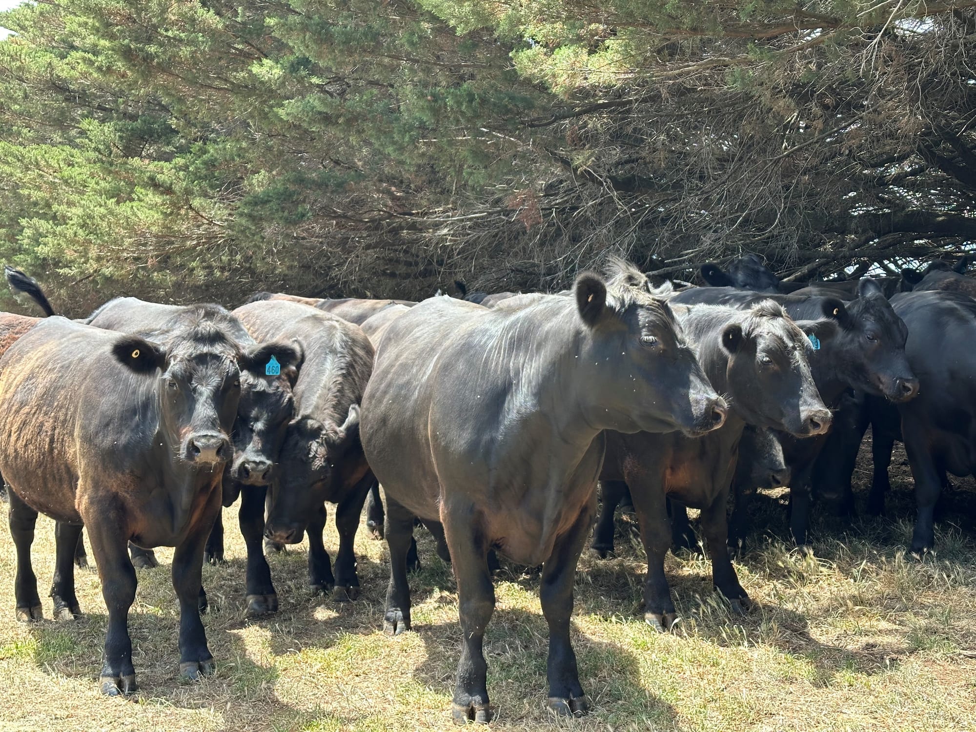 Farmers could be hit with eye-watering levy hike