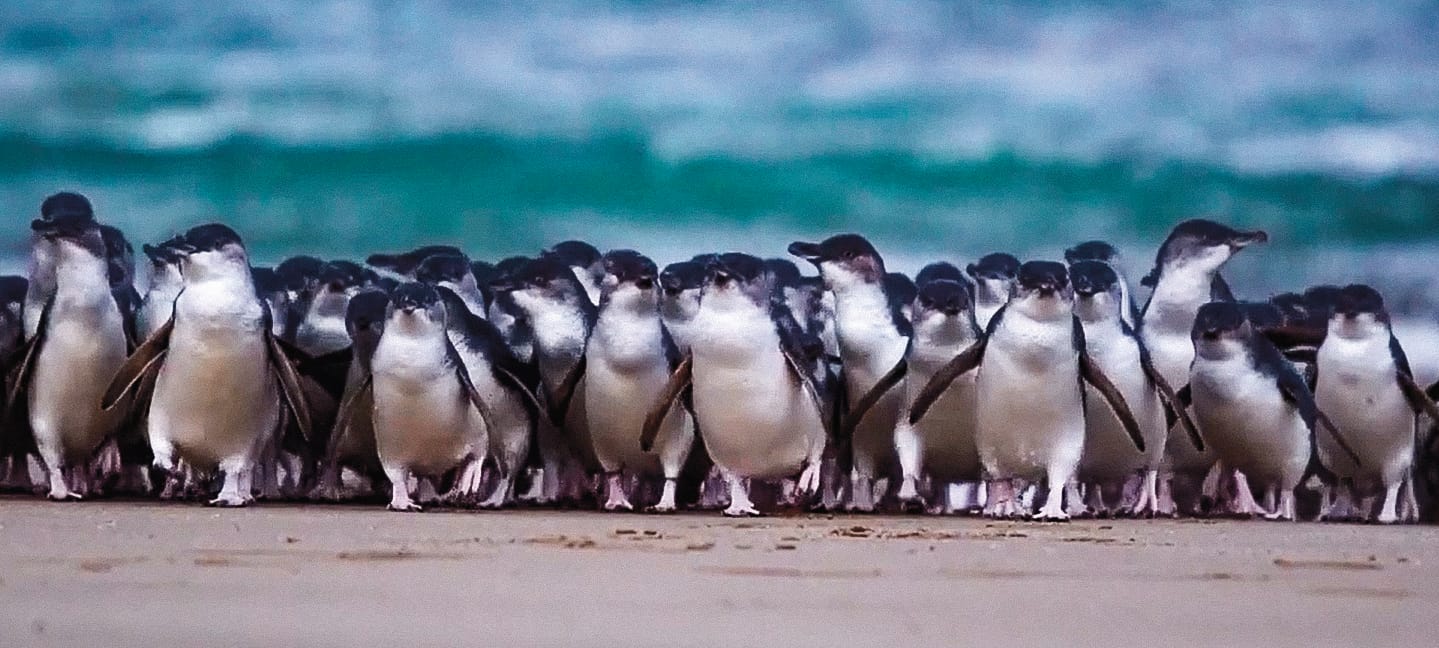 Nature Parks update, September 2021