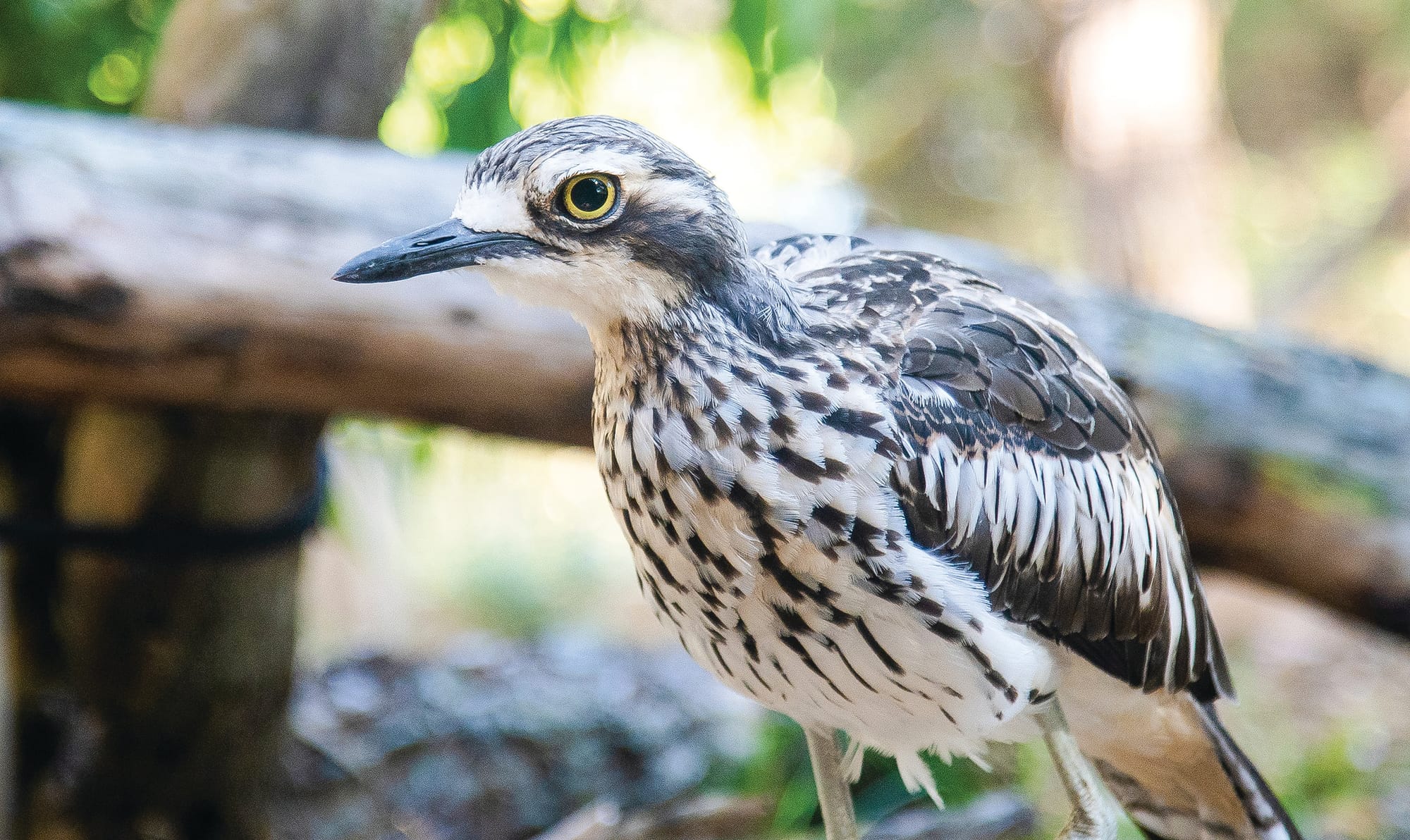 Board of Management Update - August 2024