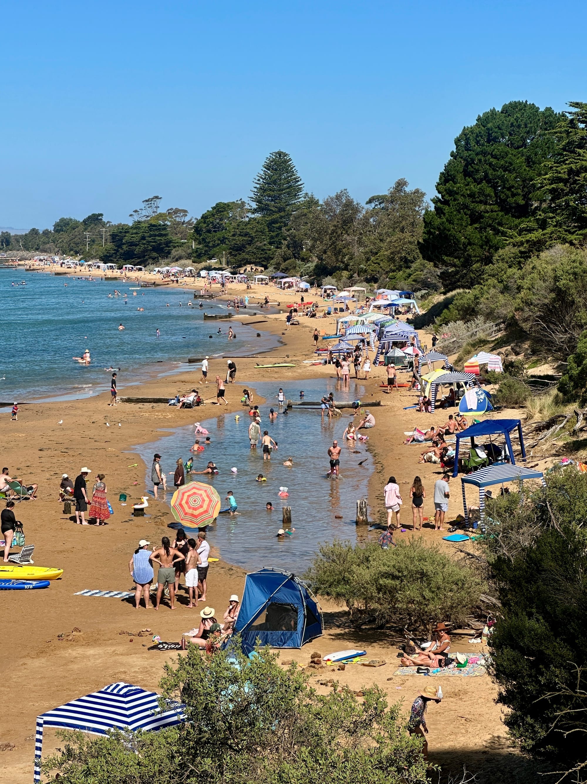 Phillip Island's future tourism is environment, not development: alliance