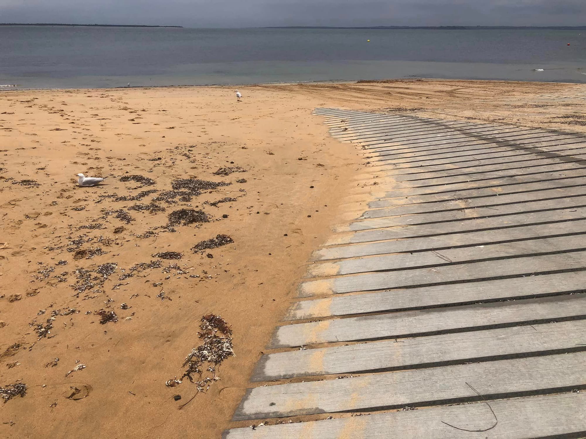 Cowes ramp continued teething problems