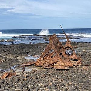 Kitty Miller Bay Walk