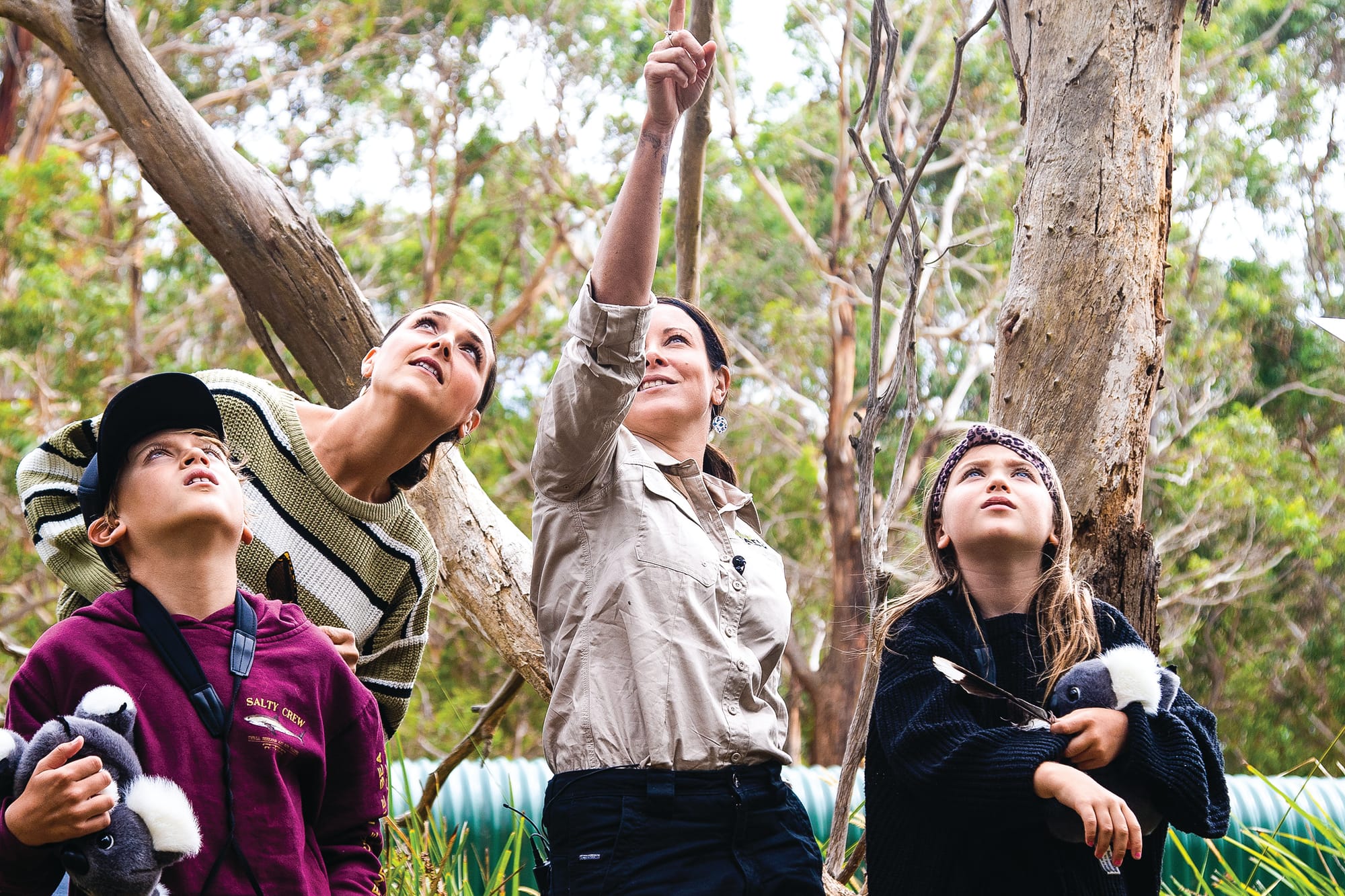 Naming Day for special koala joey