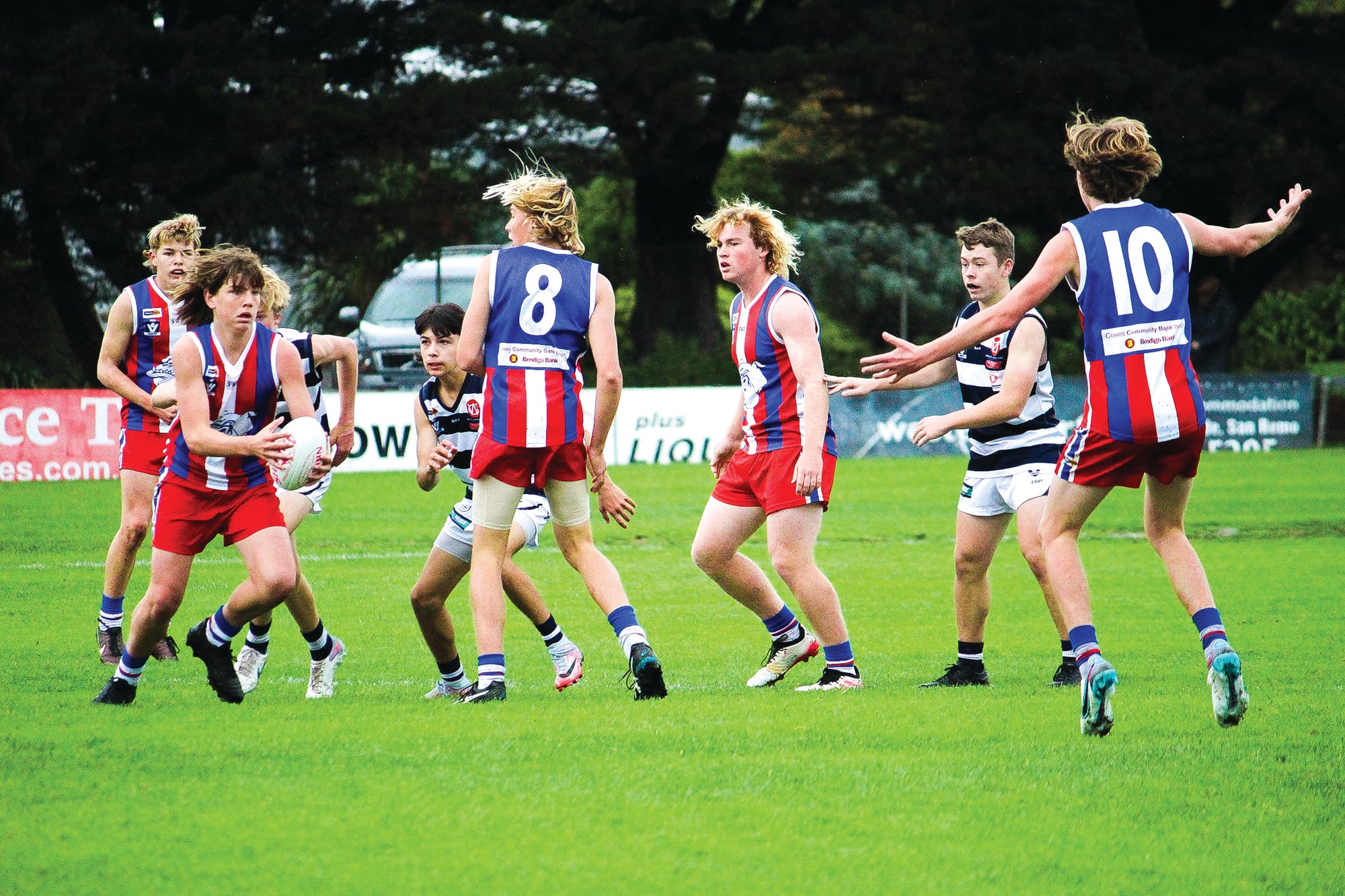 Doggies tied up at the Kennel - Under 16s