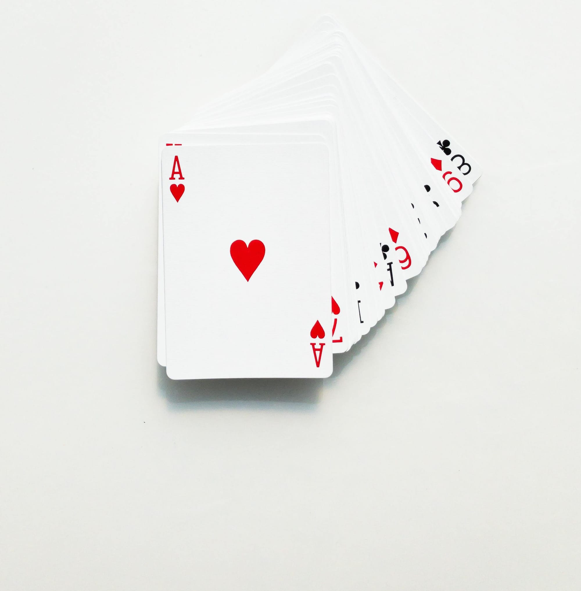 Phillip Island bridge results