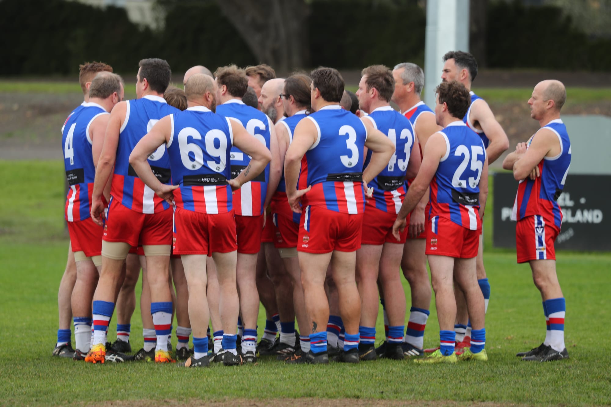 Unyielding old dogs refuse to lie down