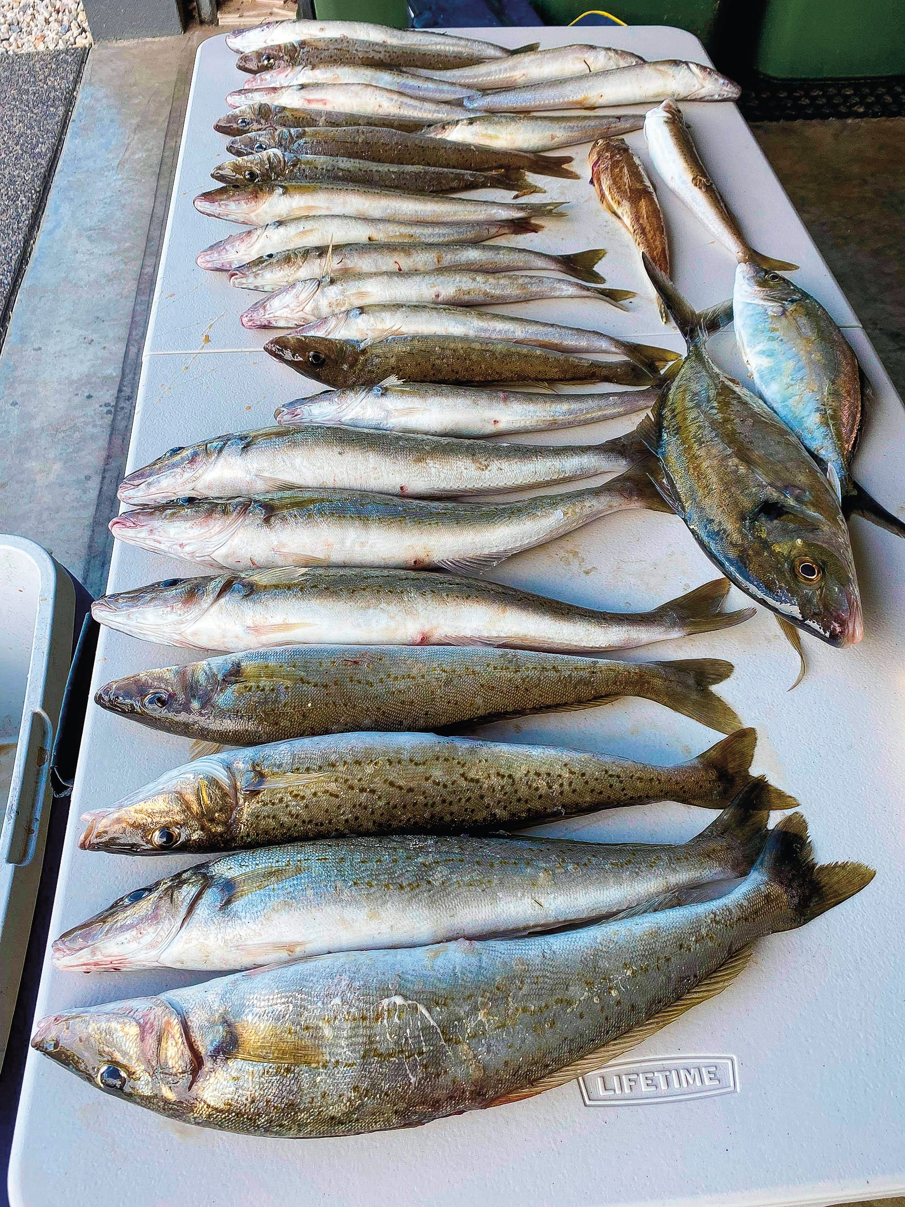 Around the bay with Jim’s Bait & Tackle