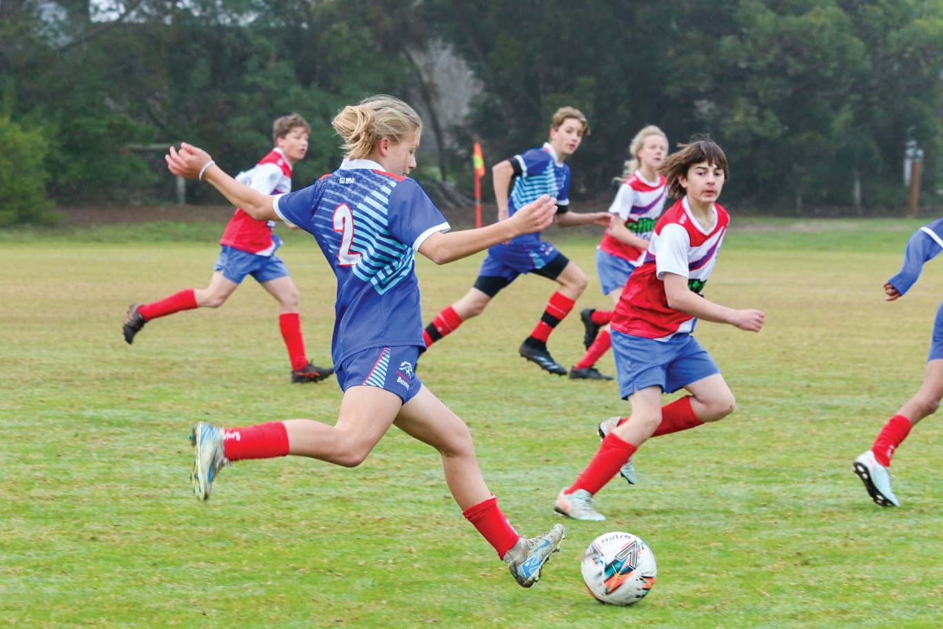 GSL finals fixture and results