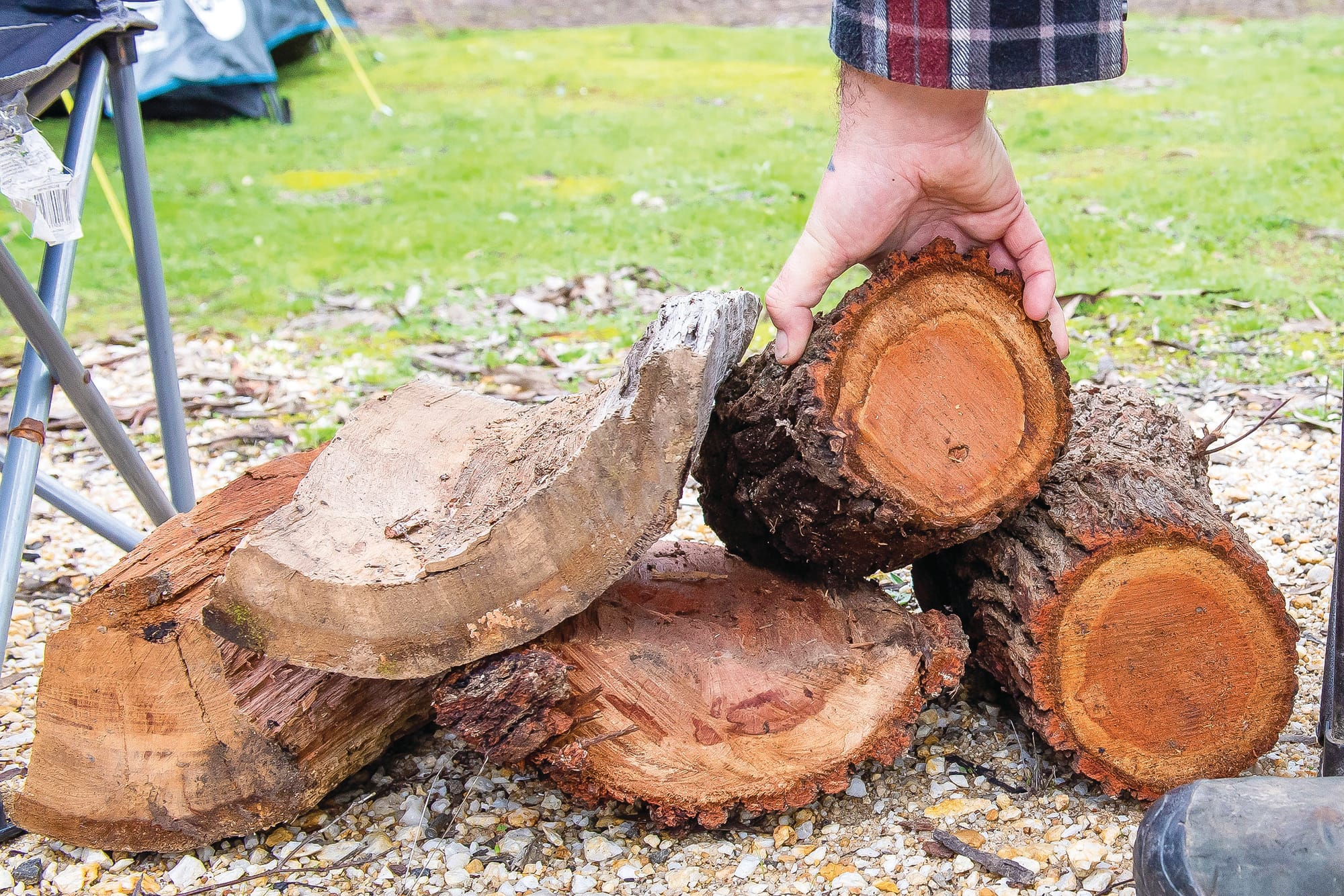 Firewood collection in state forests