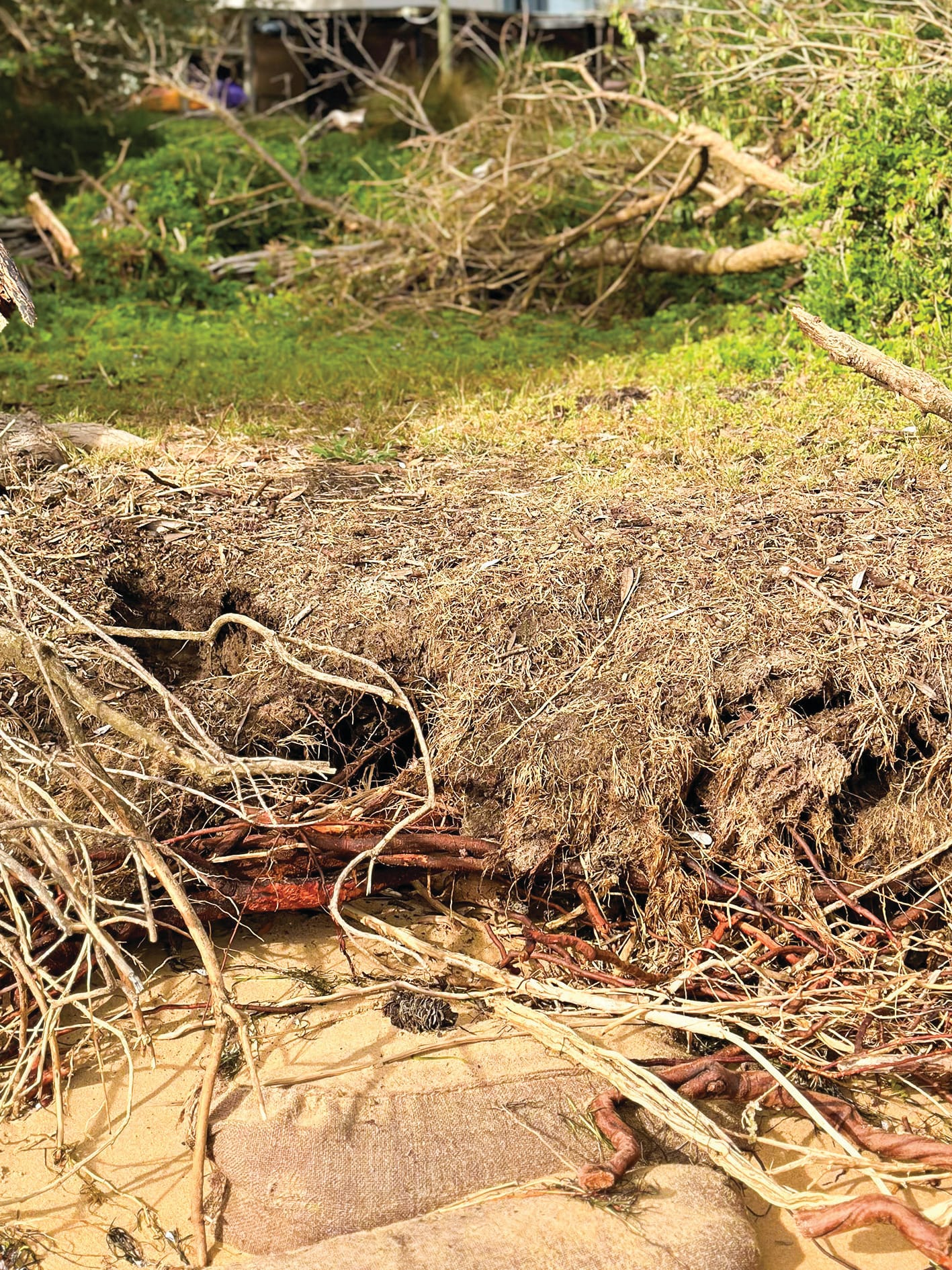 Silverleaves' residents welcome fast-tracked erosion controls