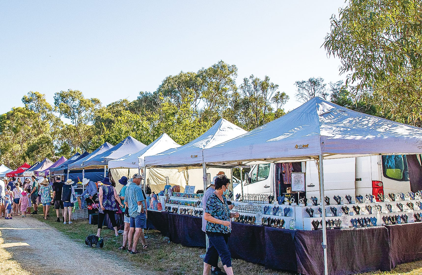 Rotary return to the Challenge