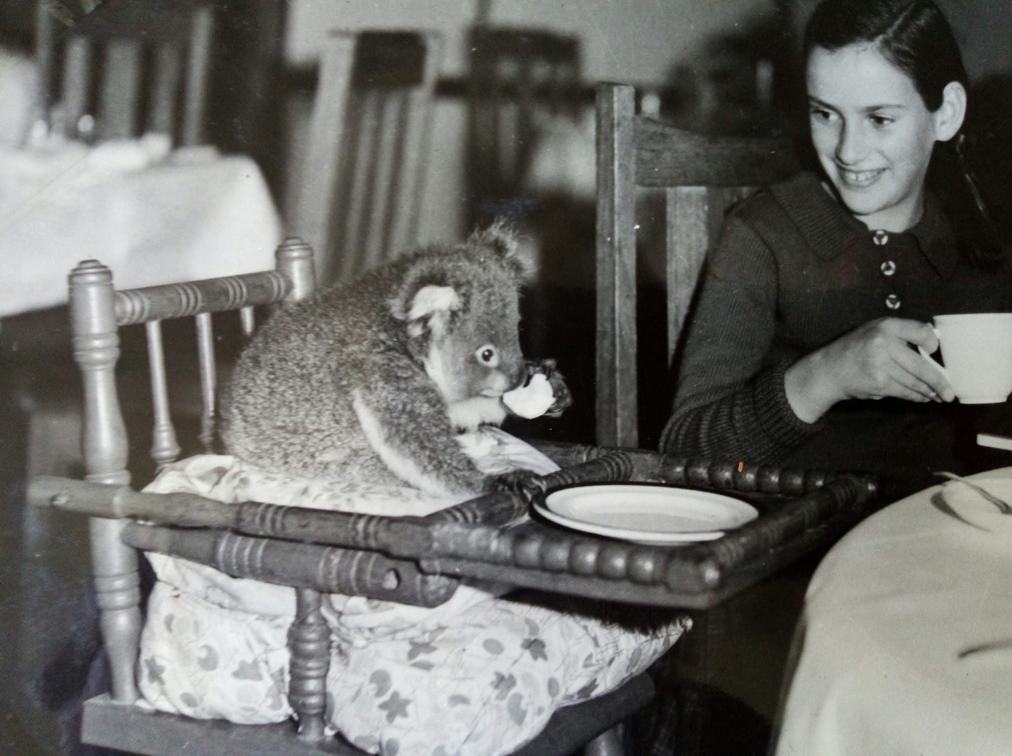 Celebrating the island’s women