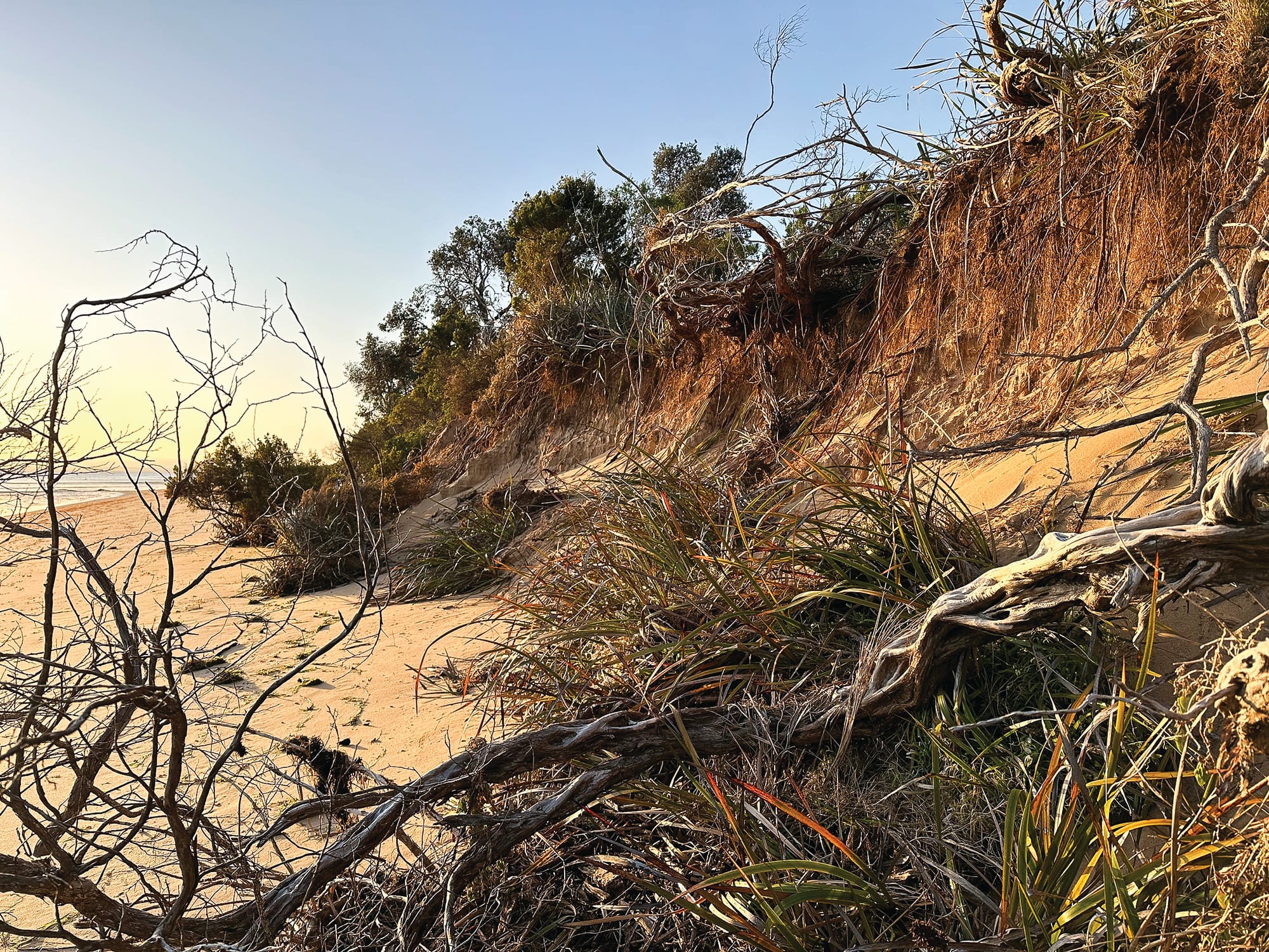 Erosion community meeting this Friday