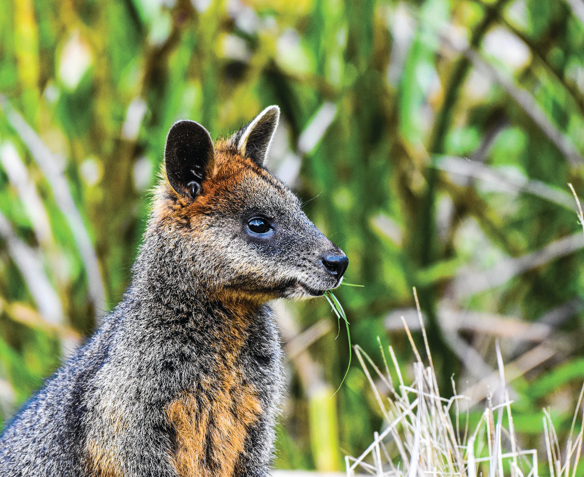Farmers welcome wildlife plan