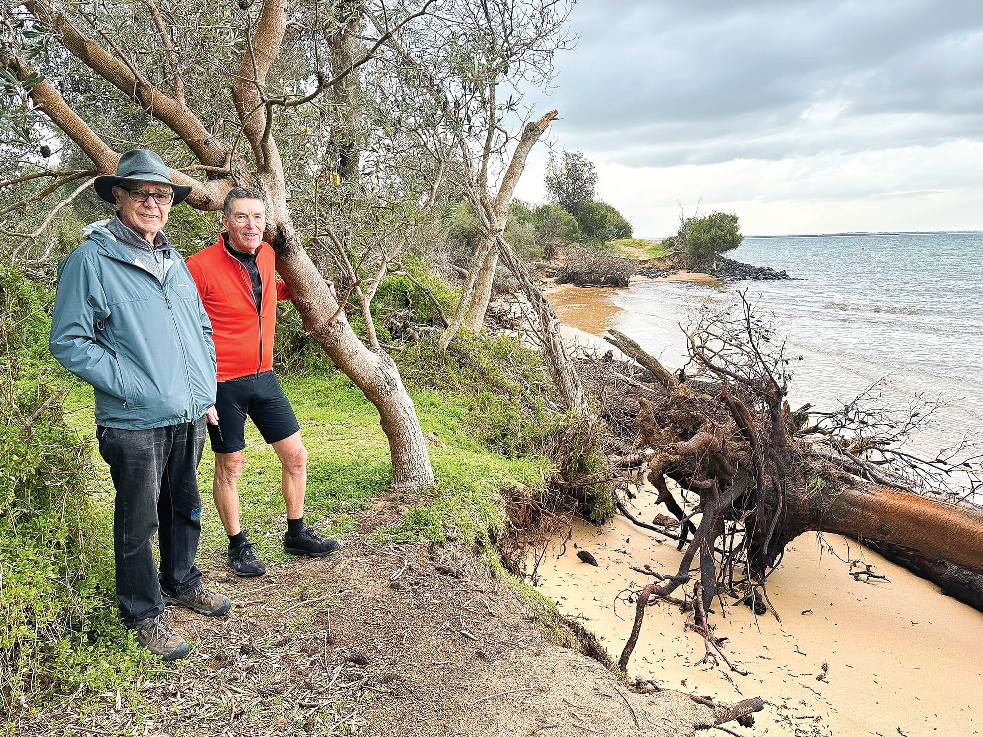 Silverleaves' erosion an "emergency situation": MP