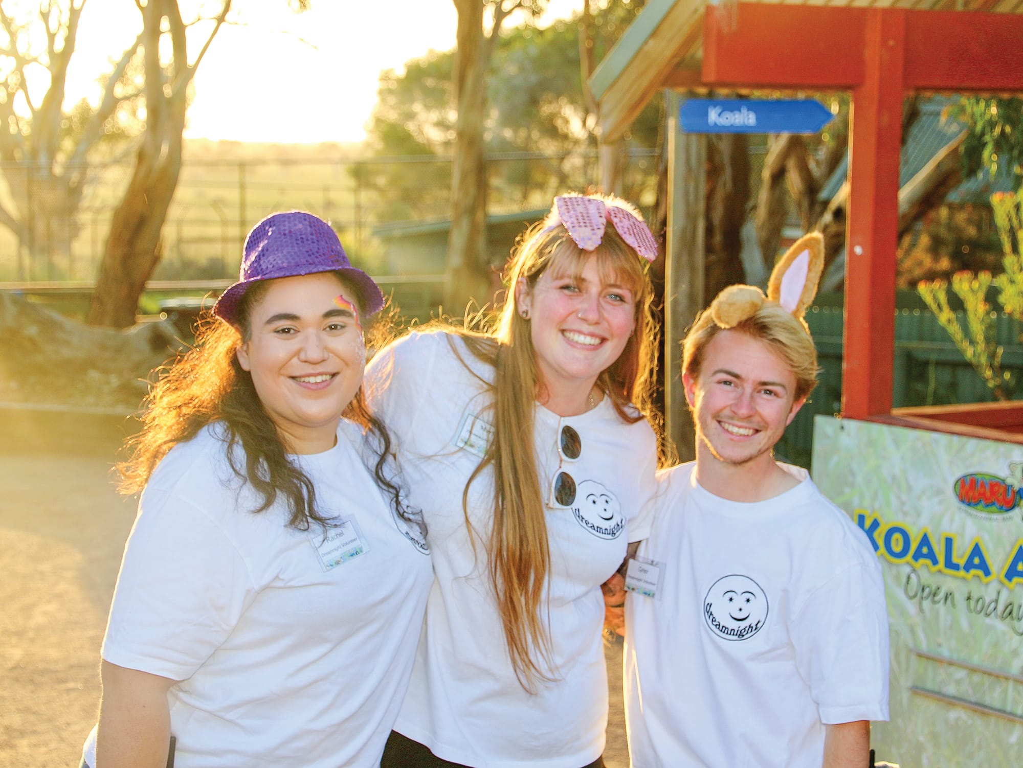 Dreamnight at the zoo