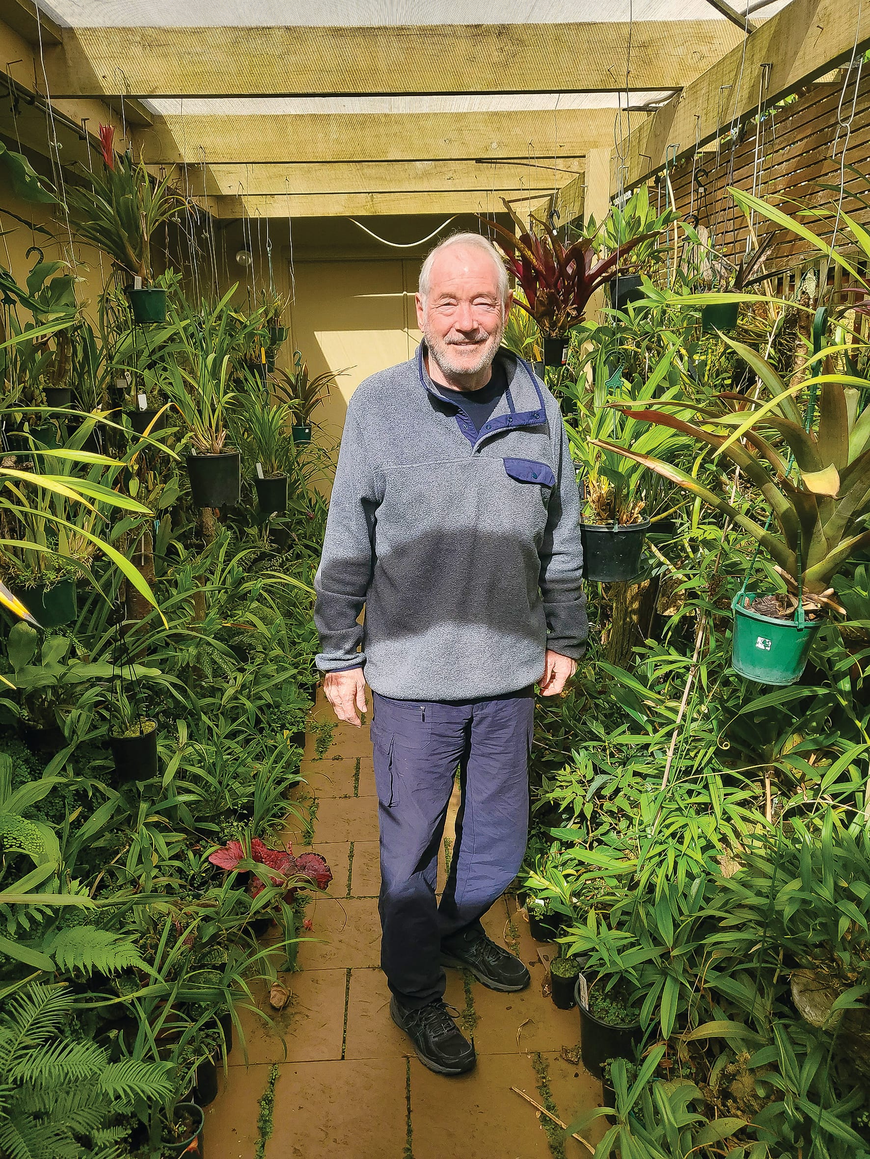 Get your fourth dose, says Graham