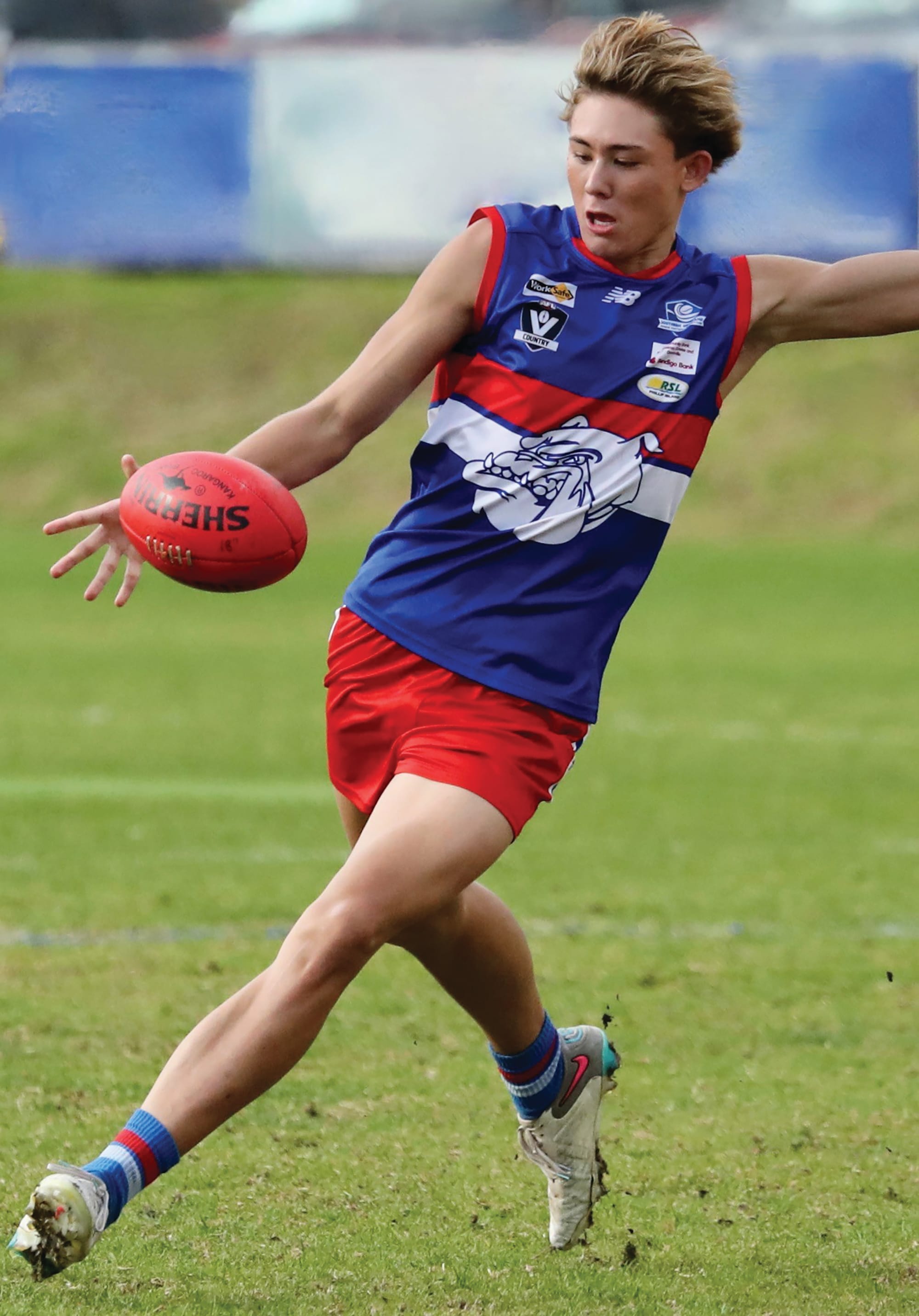 Bulldogs Sweep Round 12 with Class-Thirds