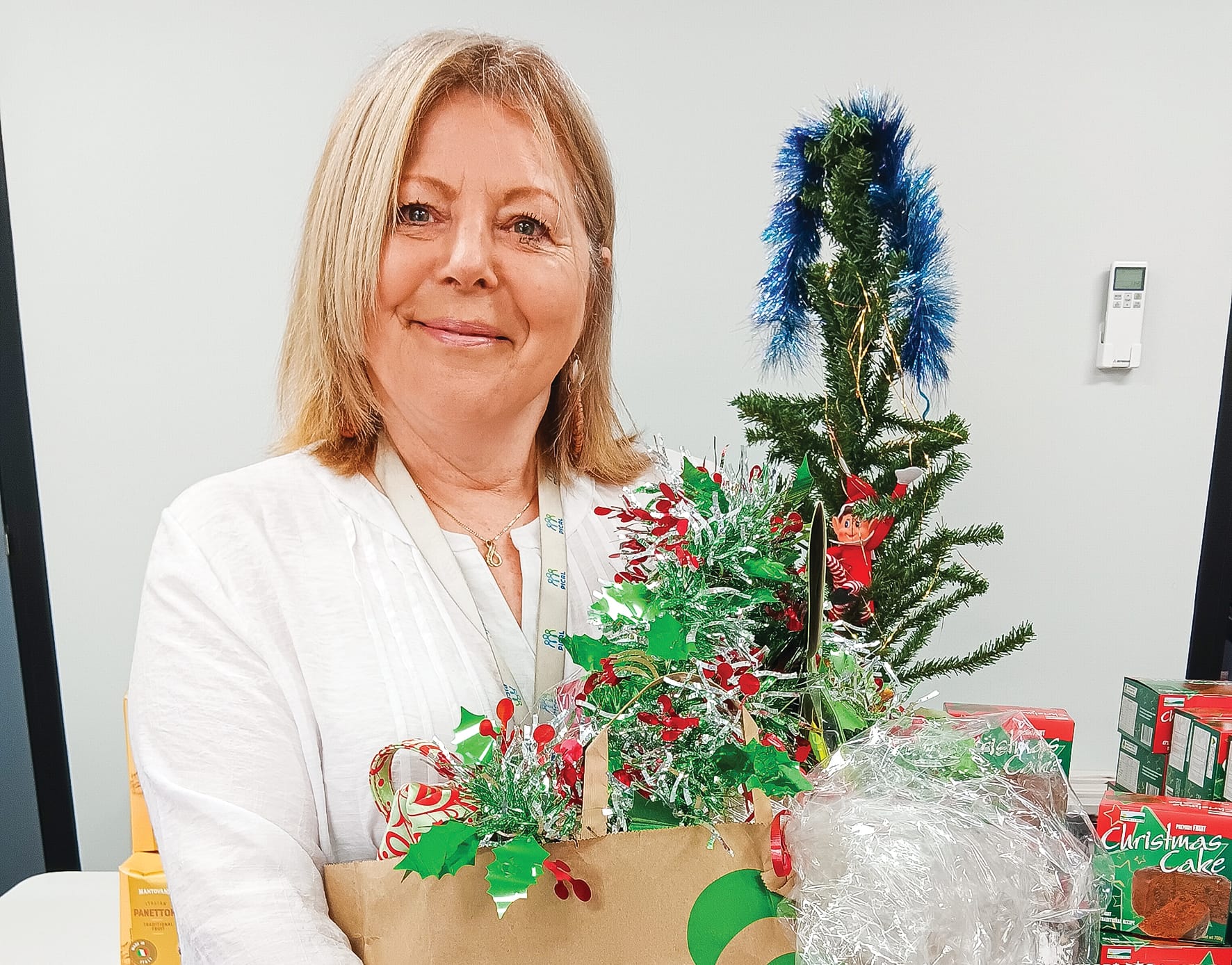 Support PICAL's Christmas hamper appeal