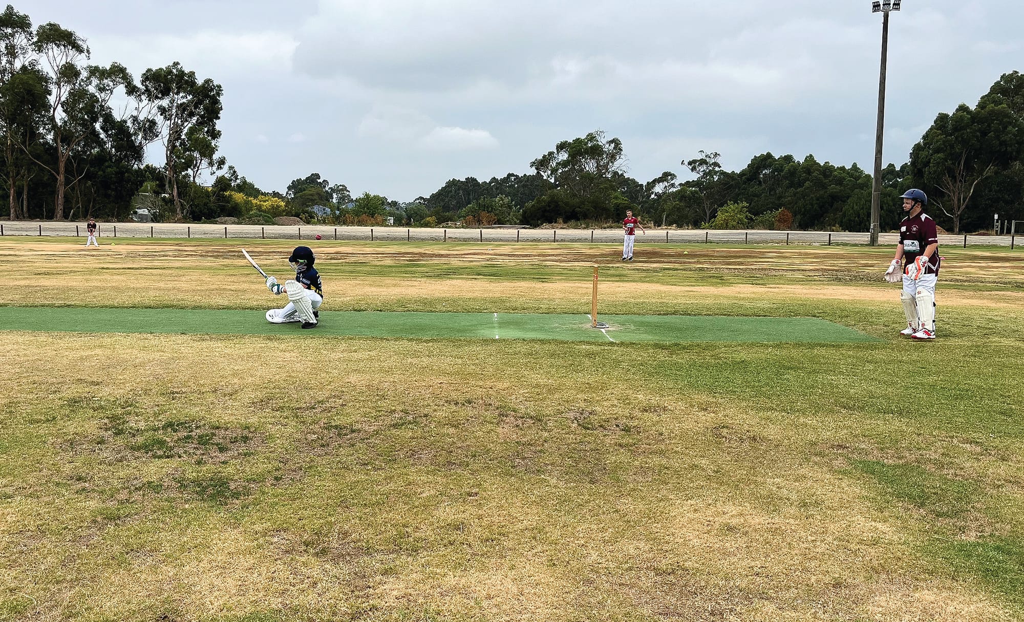 Strong show by Sharks