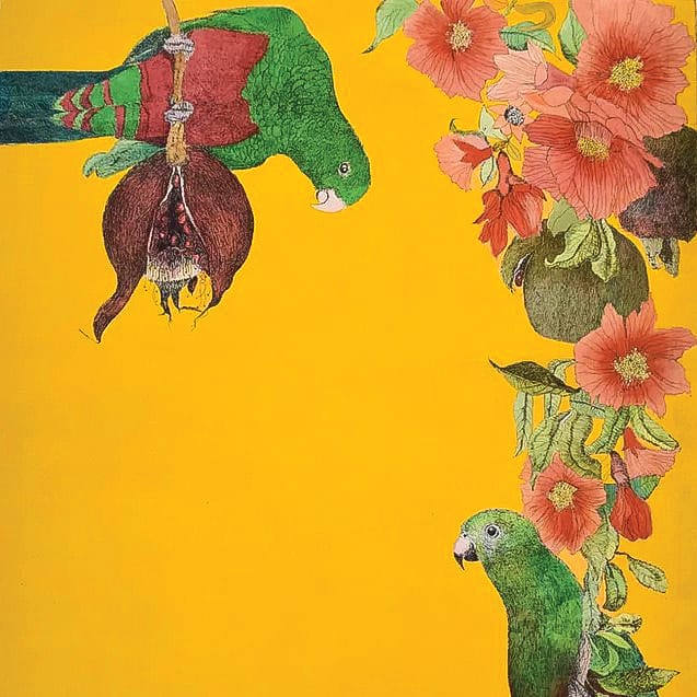 Insights and Gippsland Perspectives at Berninneit