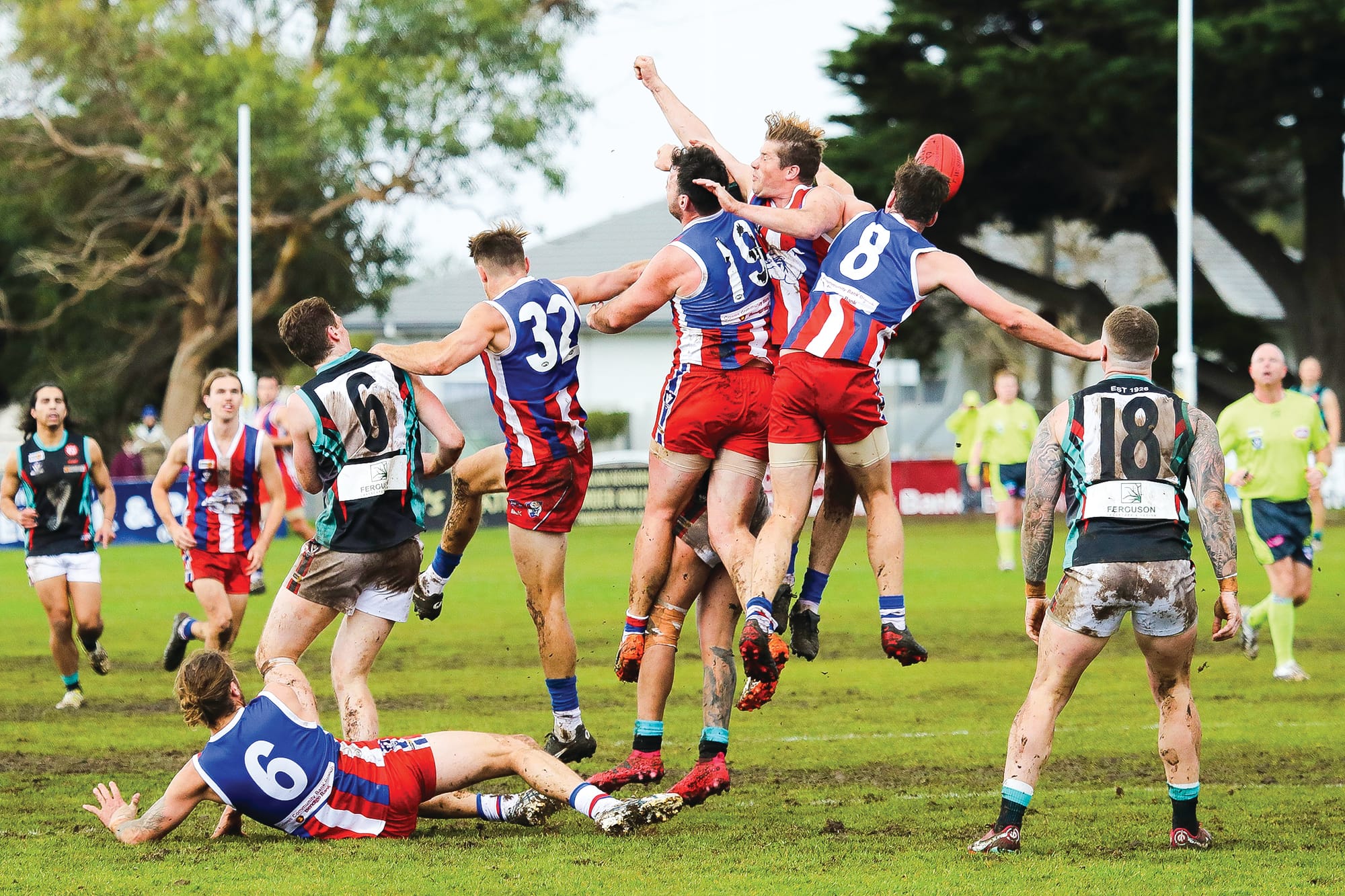 Seniors - Cobras’ sting no match for Bulldogs’ bite