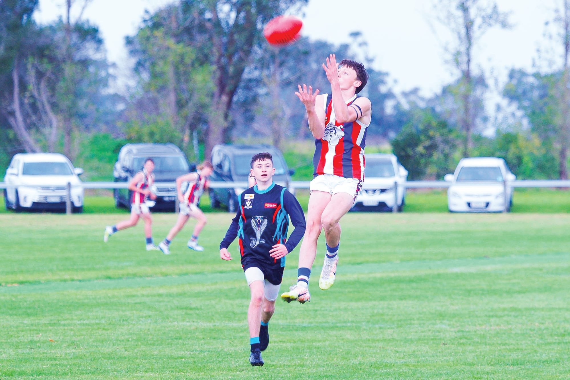 Bulldogs battle it out in bleak conditions