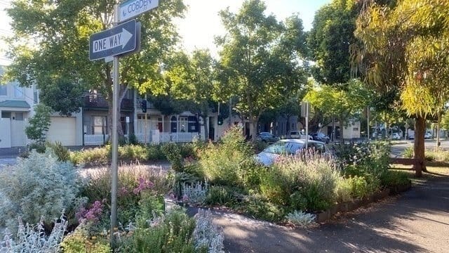 Trees, nature strips protected under new rules