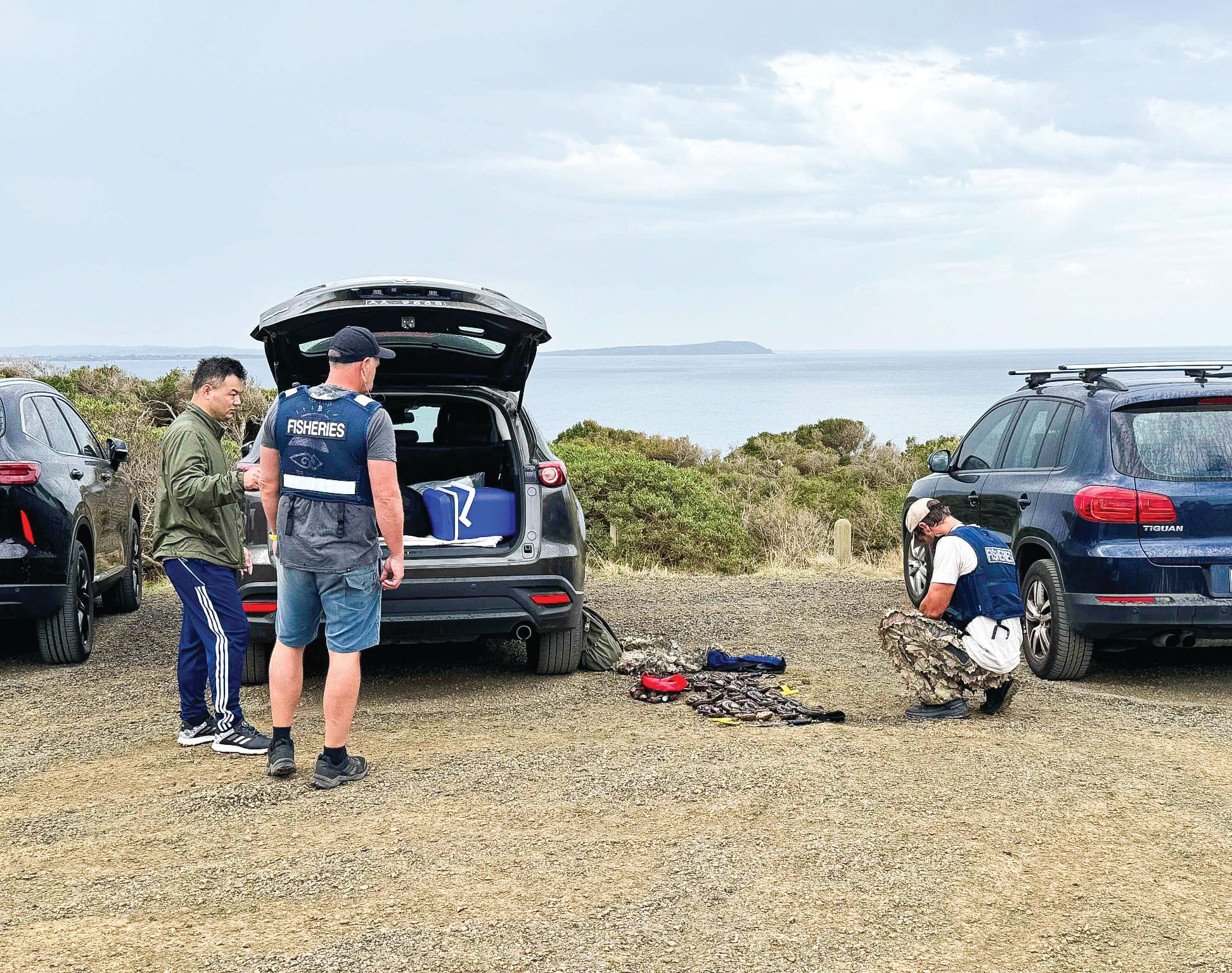 Yet more illegal seafood poaching off Phillip Island