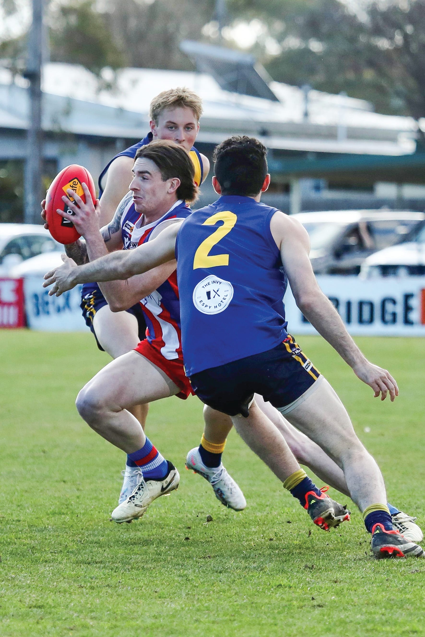 Young guns shine as Phillip Island dominates Inverloch