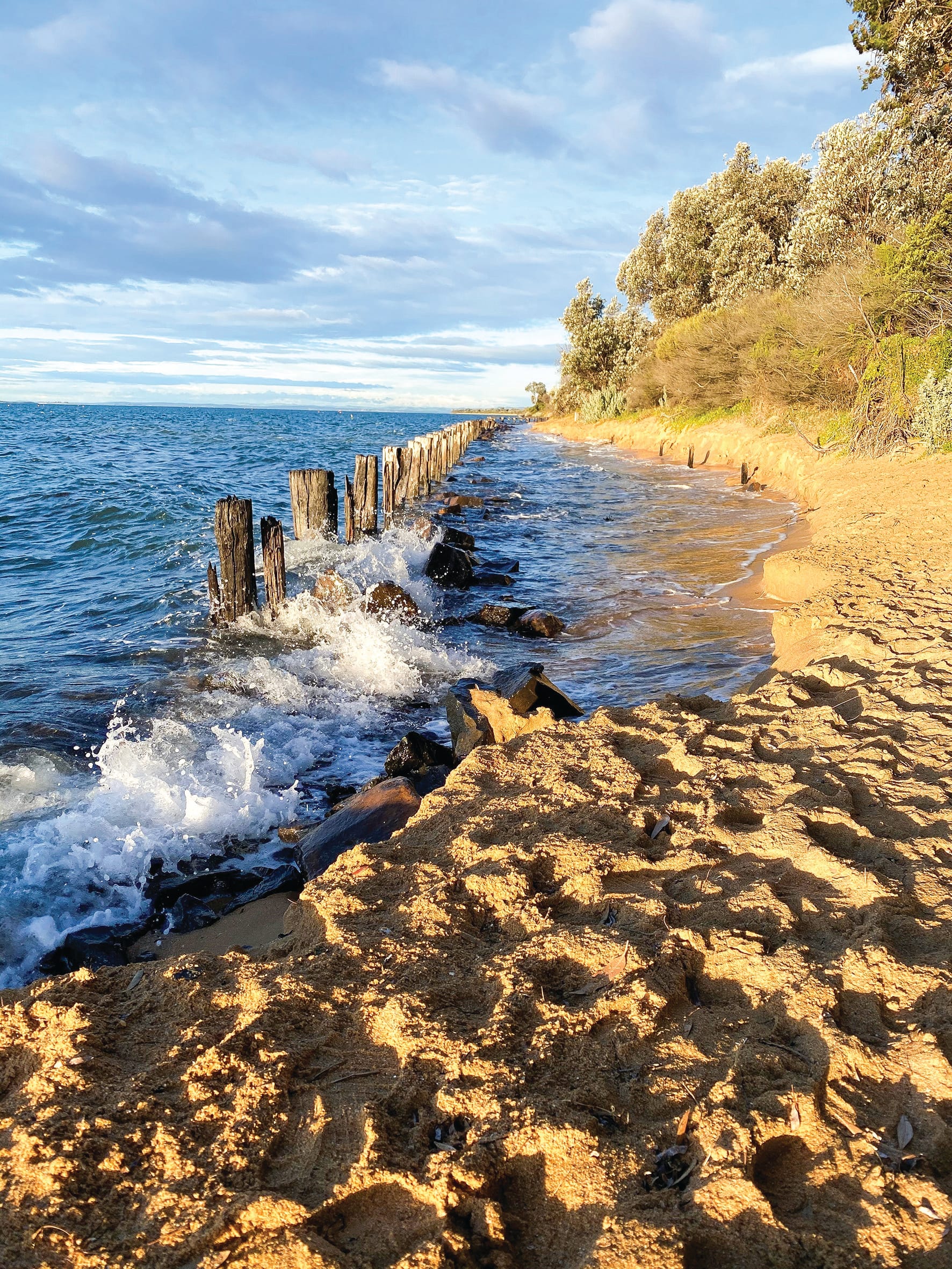 Reserve land for residents forced to flee their homes
