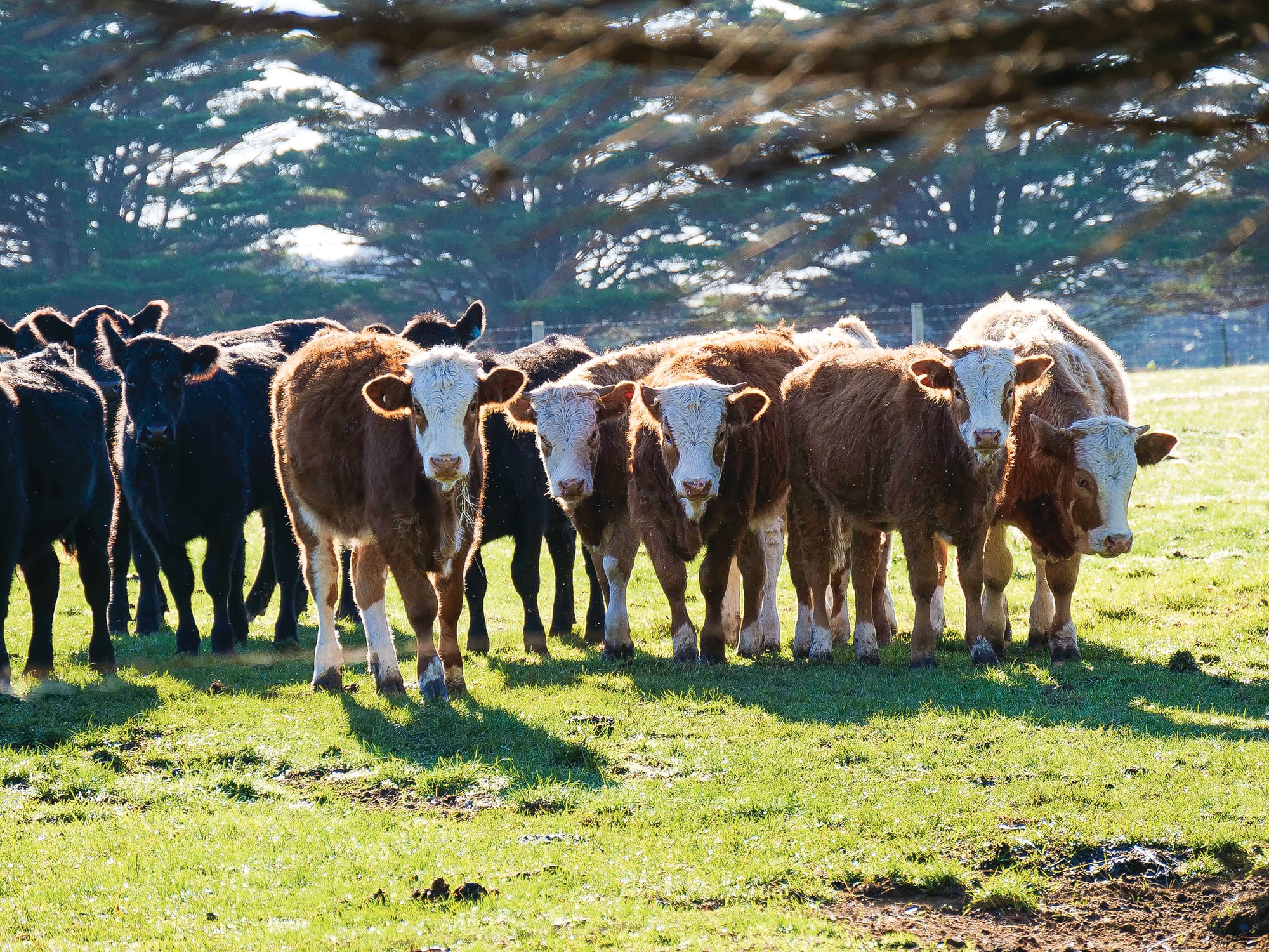 Farmer outcry at proposed planning controls