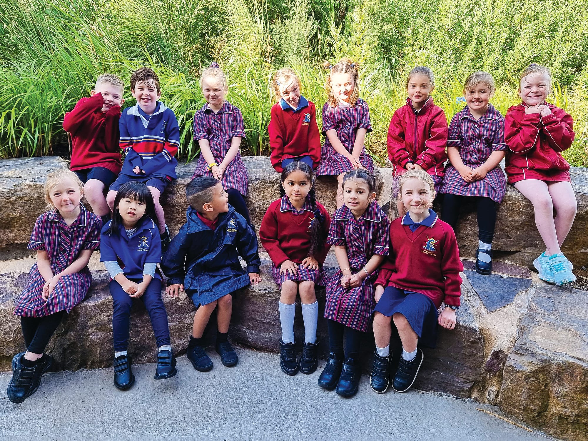 New shining stars at OLSS